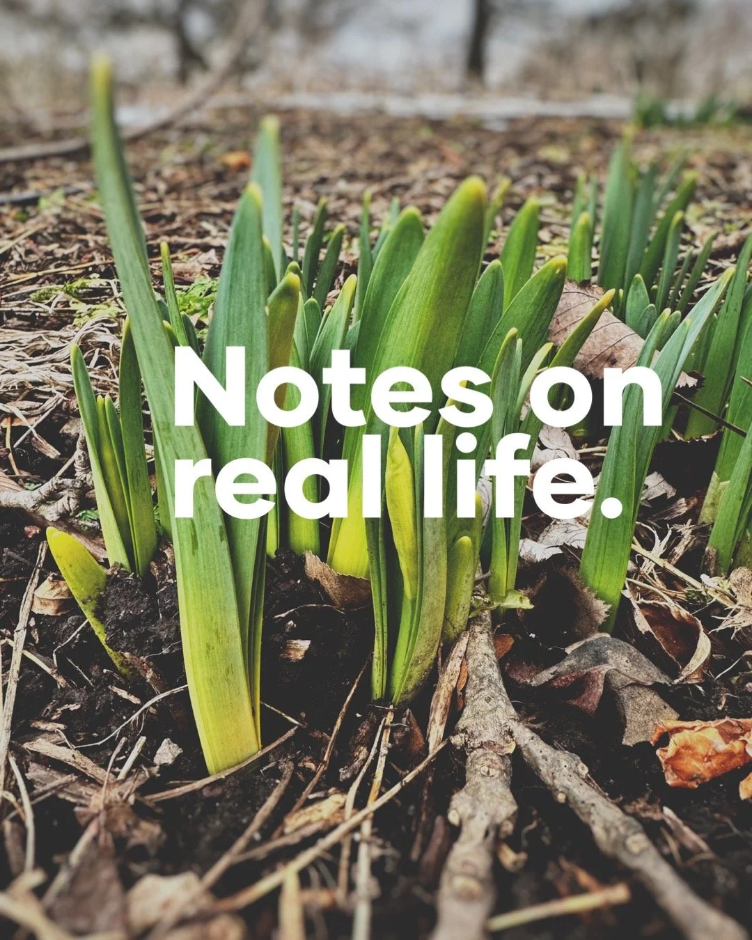 Notes on Real Life.