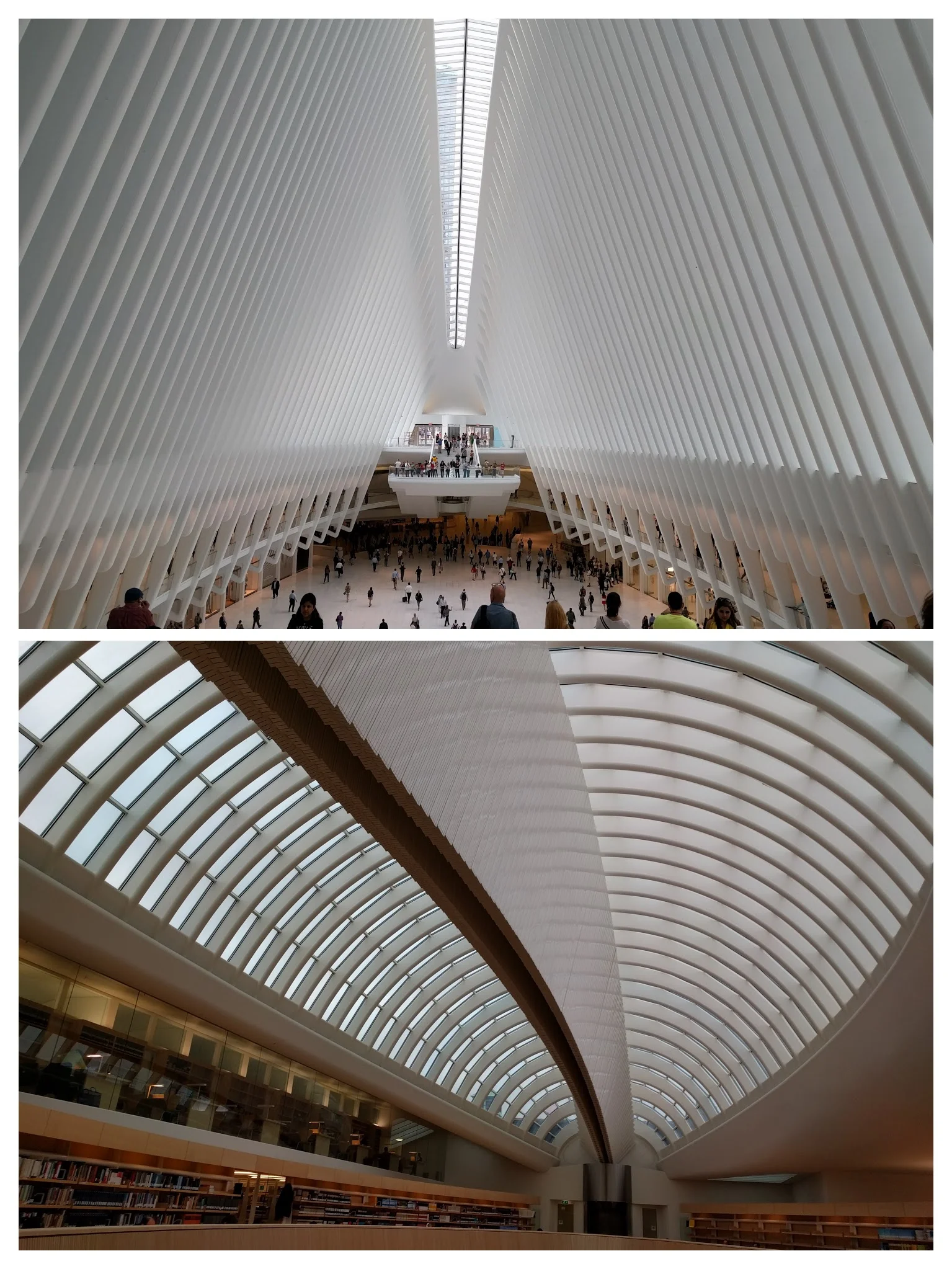 Top: Santiago Calatrava's World Trade Center Transportation Hub Bottom: his law library at the University of Zurich