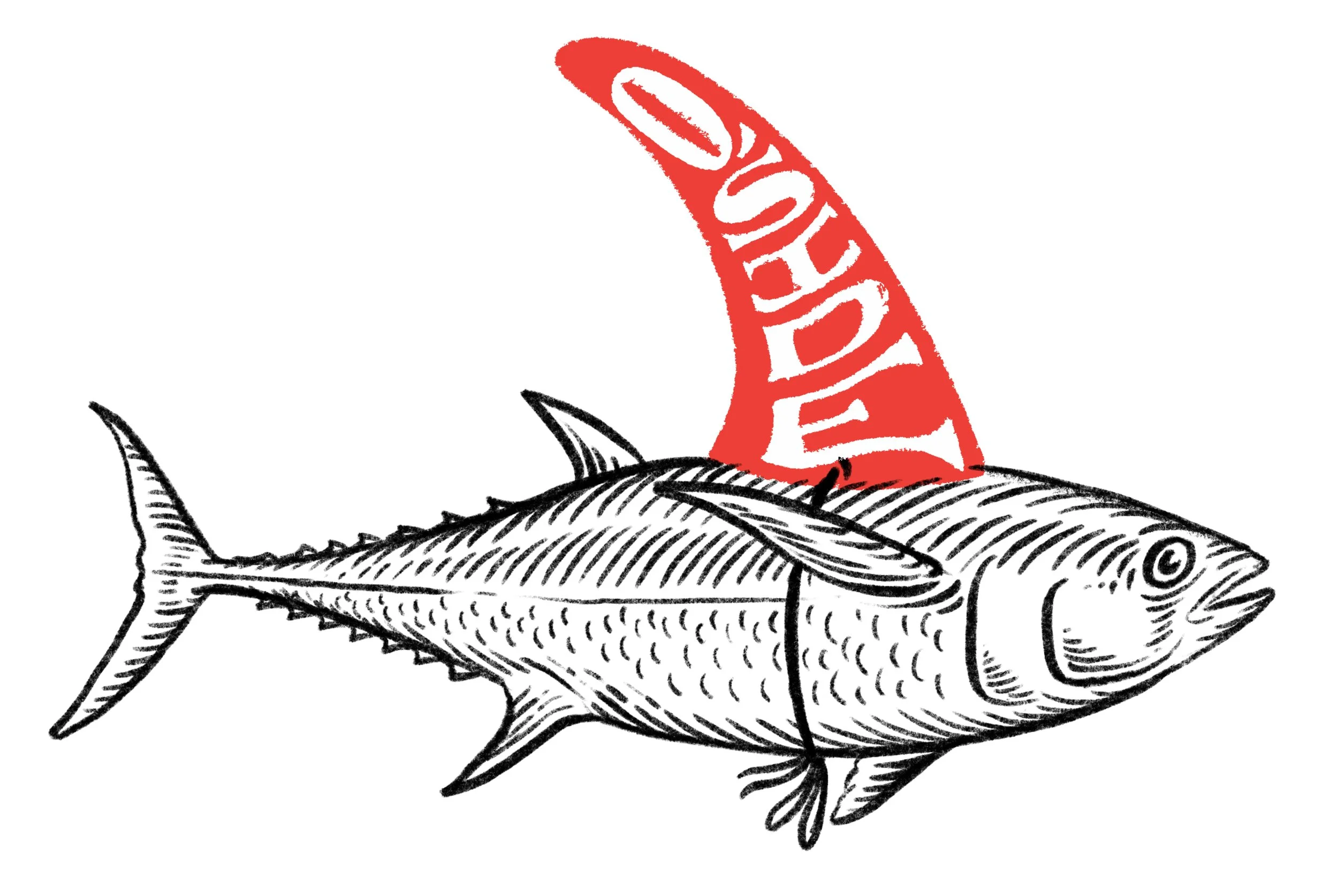 oceanside skech web.jpg