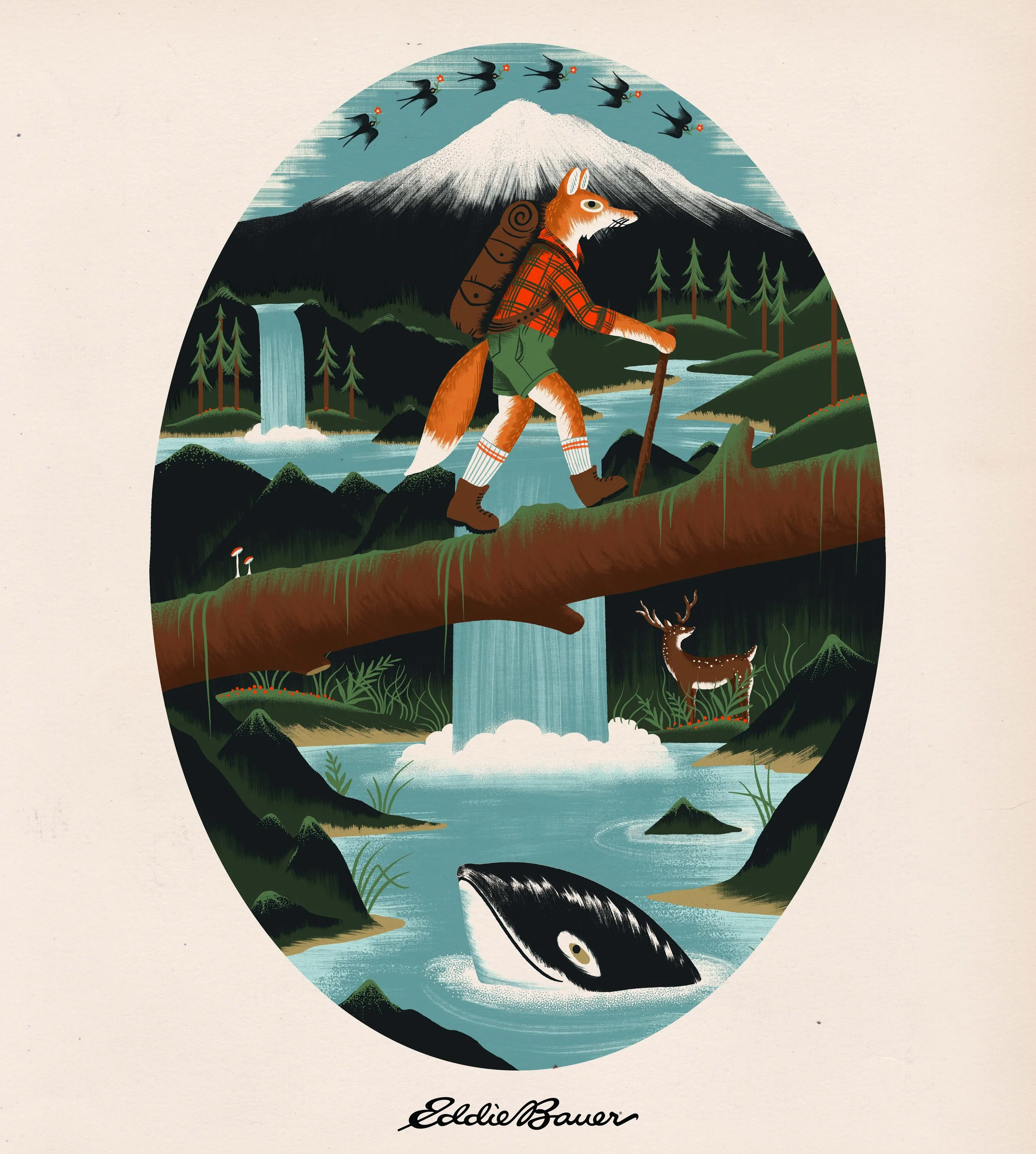 eddie bauer web photo1.jpg