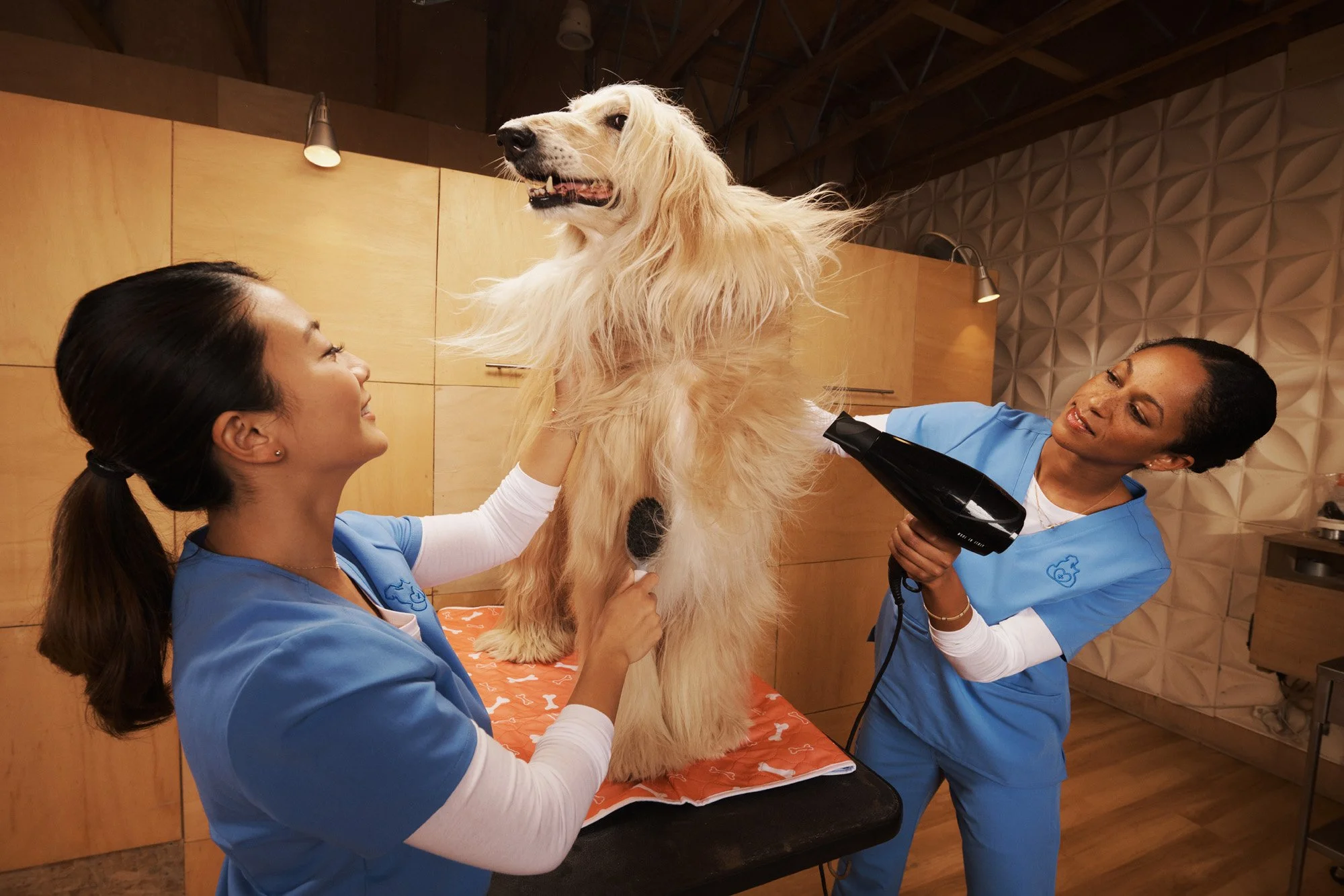 ph211101A_Veterinarian_3831_01_VR_2000px.jpg