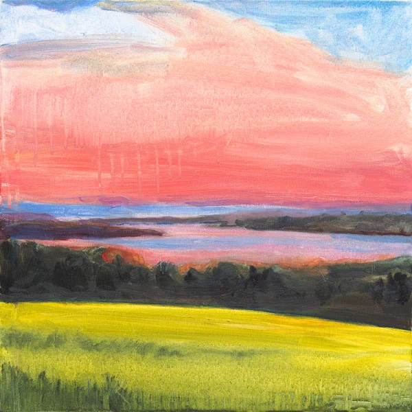 Pink Overlook 20 x 20"