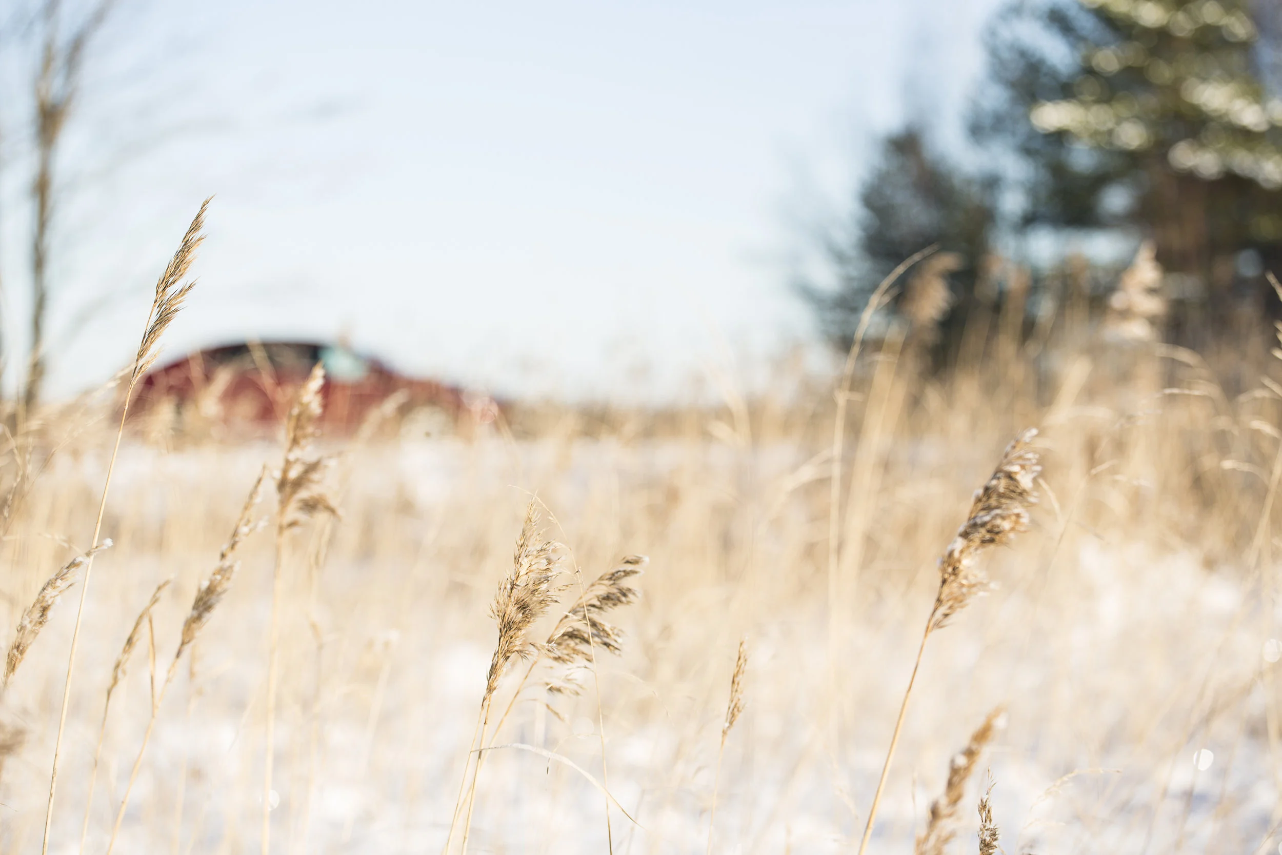 Toyota Corolla Pellinki-61.jpg