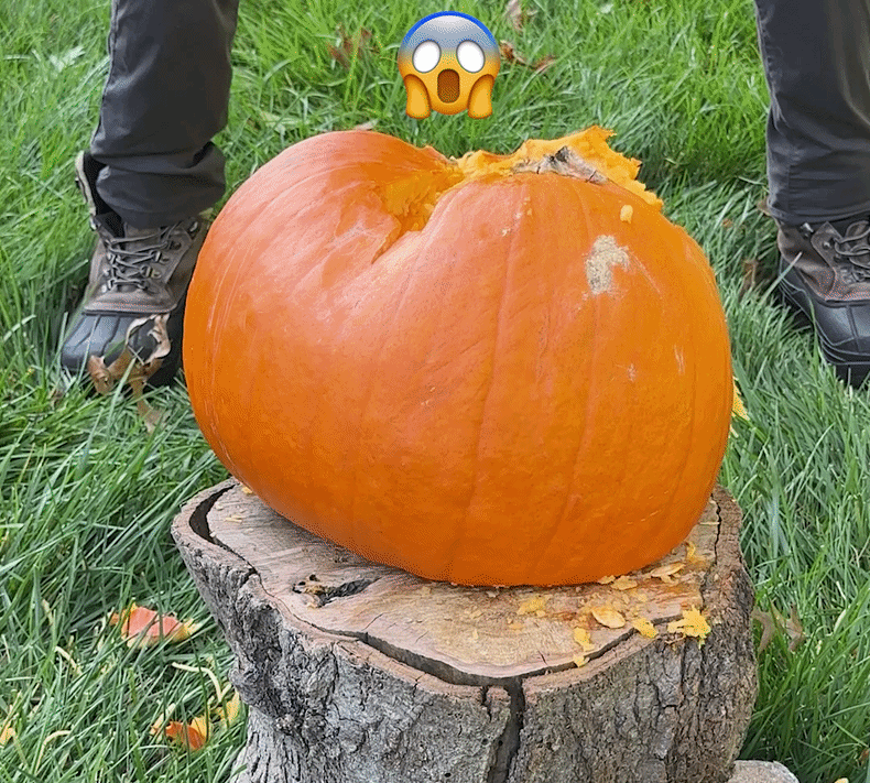 ezgif.com-crop.gif