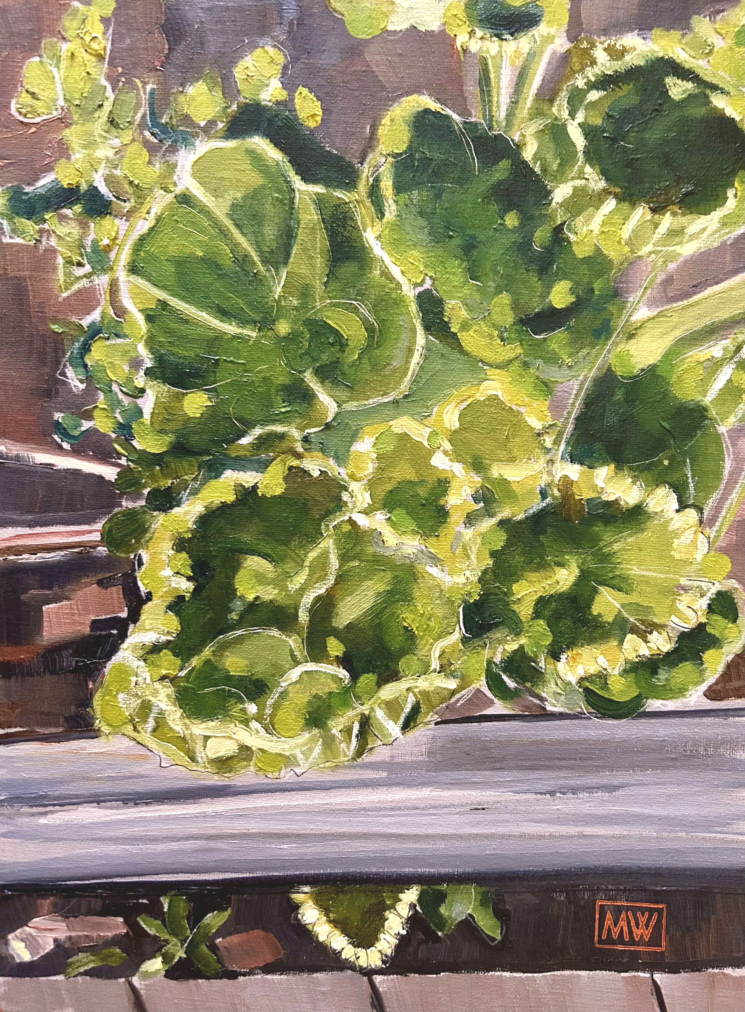 Hooded-leaf+Pelargonium.png