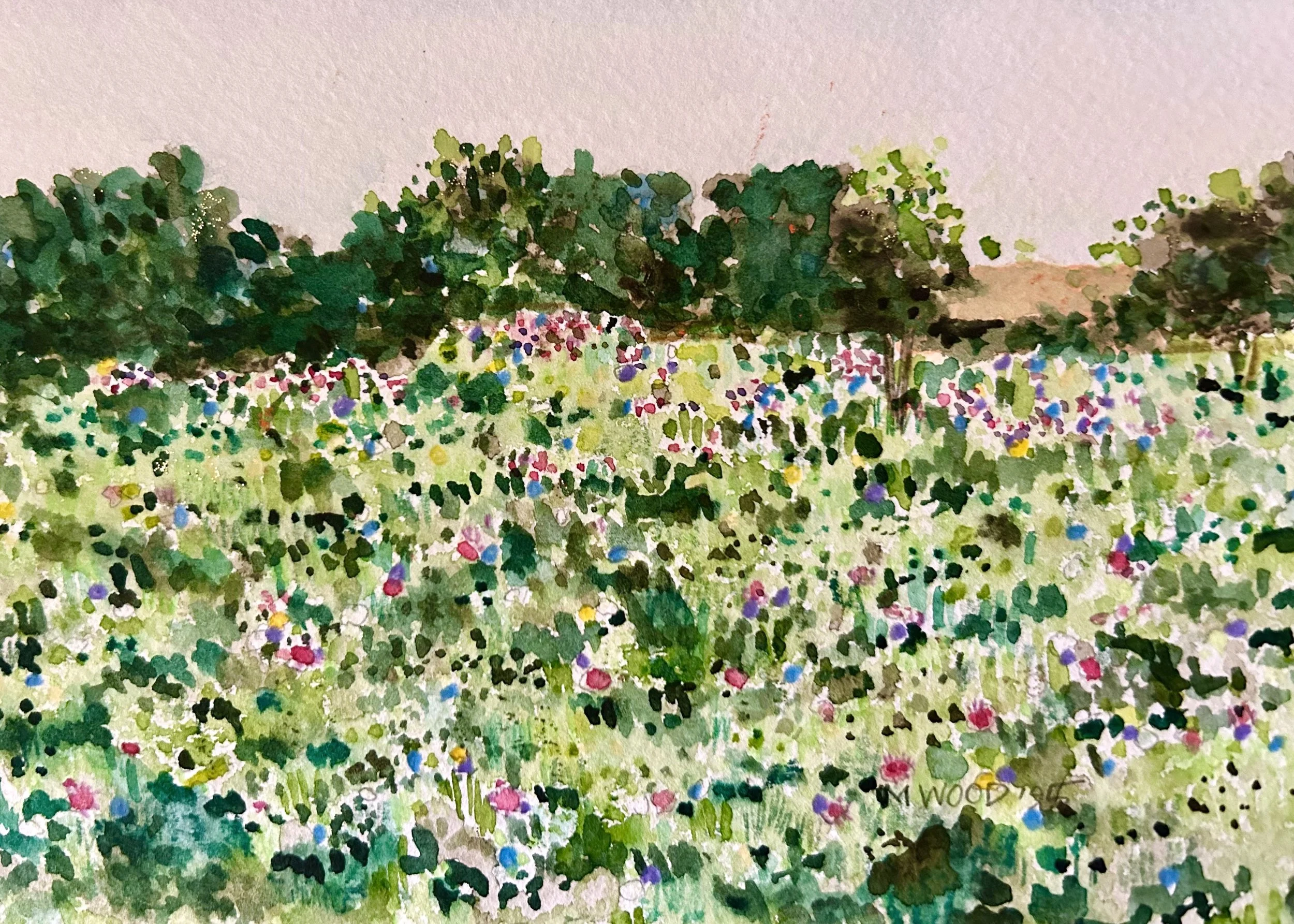 Ranch in Springtime.JPG
