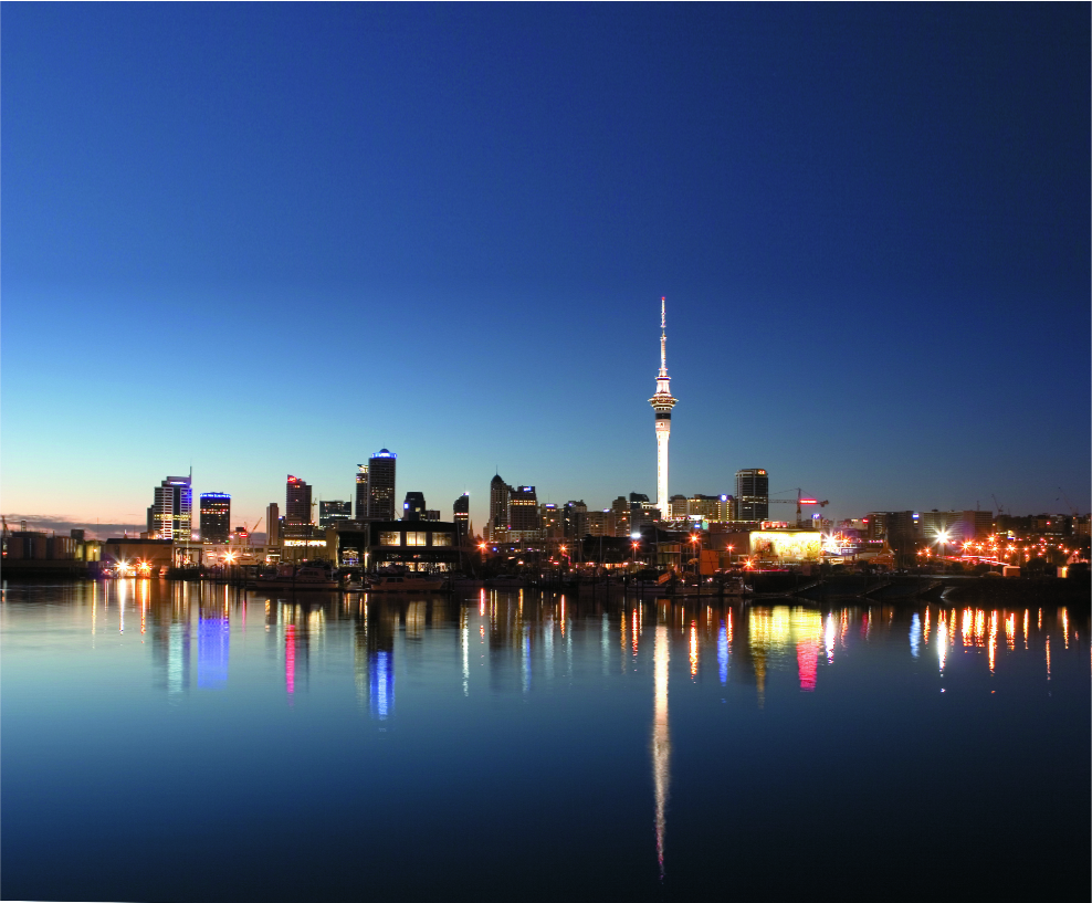 Auckland_PDP website.PNG