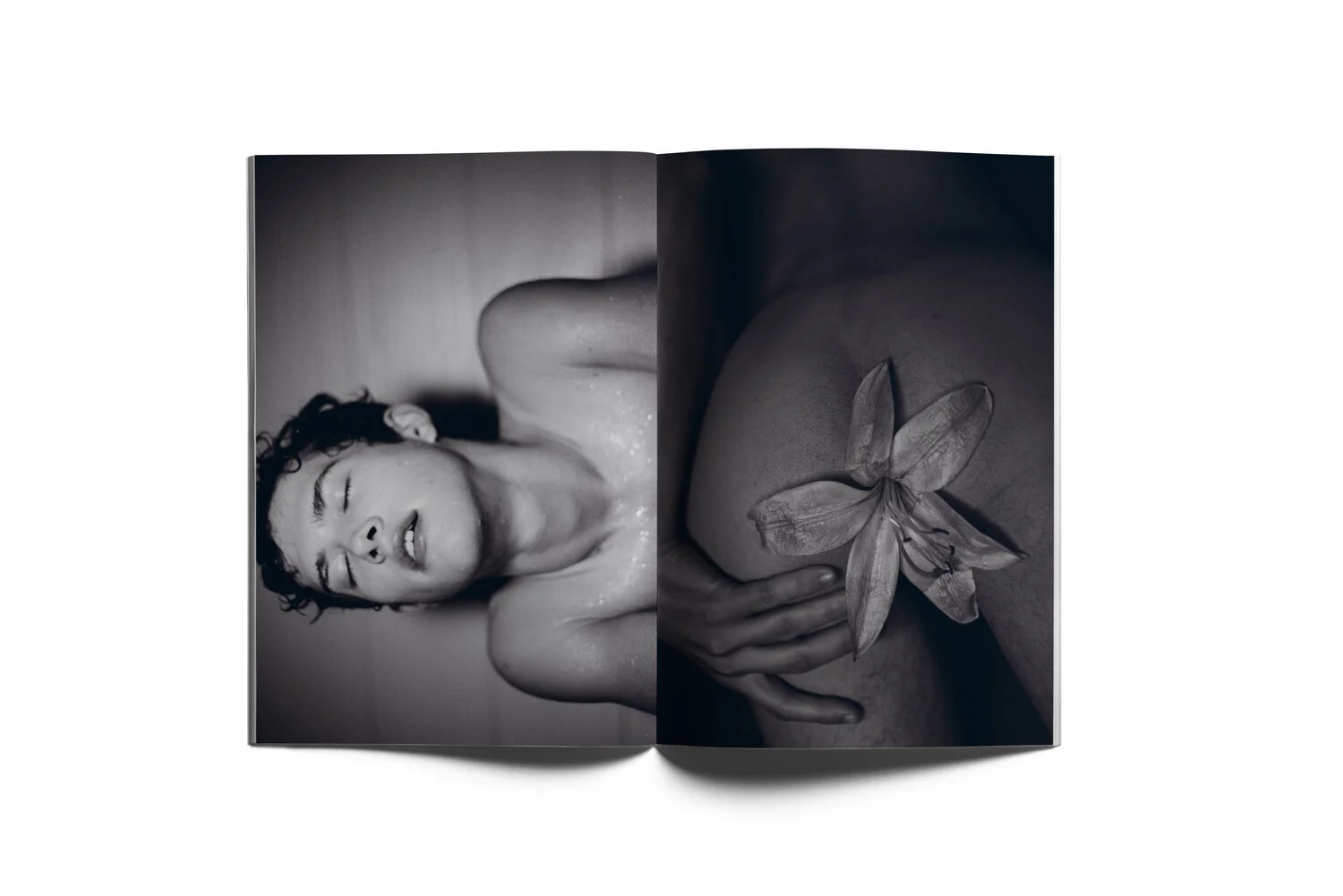 Sean_Ford_BTB_Limited_Behind_The_Blinds_Magazine_03.jpg
