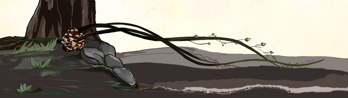 pinecone1.png
