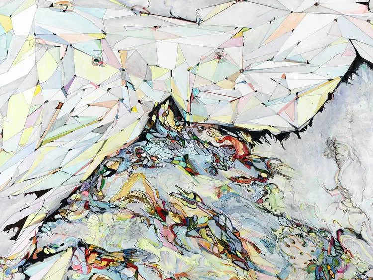 logic #3 / control Detail / Acrylic, ink and colored pencil on canvas / 42"x 58" / 2011