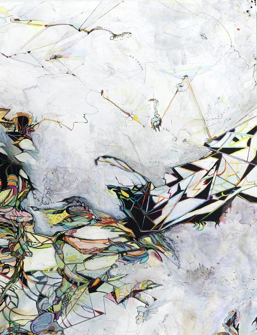 logic #3 / control Detail / Acrylic, ink and colored pencil on canvas / 42"x 58" / 2011