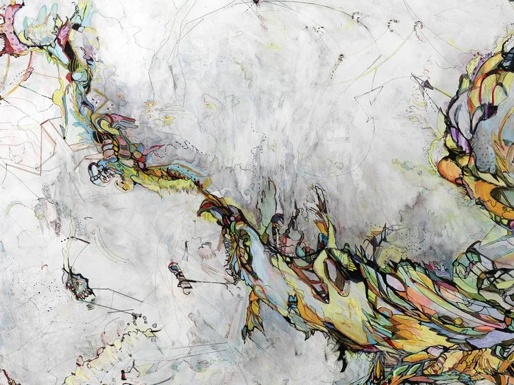 logic #4 / exploration Detail / Acrylic, ink and colored pencil on canvas / 48"x 71" / 2011
