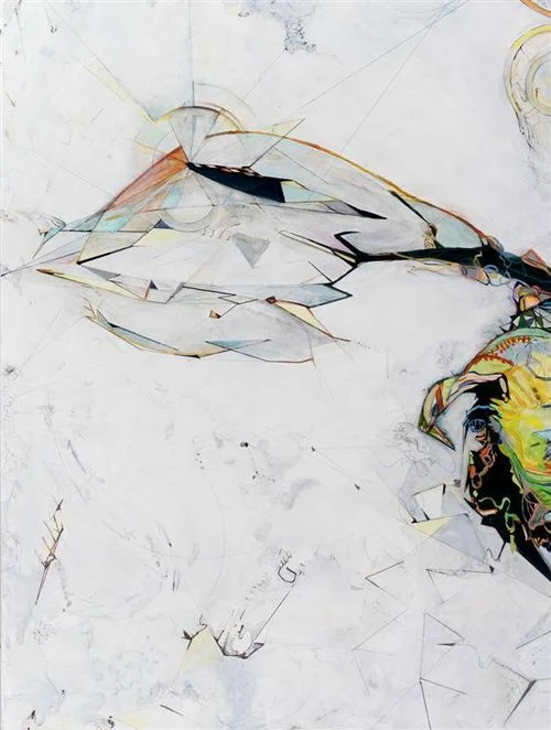 logic #1 / flight Detail / Acrylic, ink and colored pencil on canvas / 48"x 72" / 2010