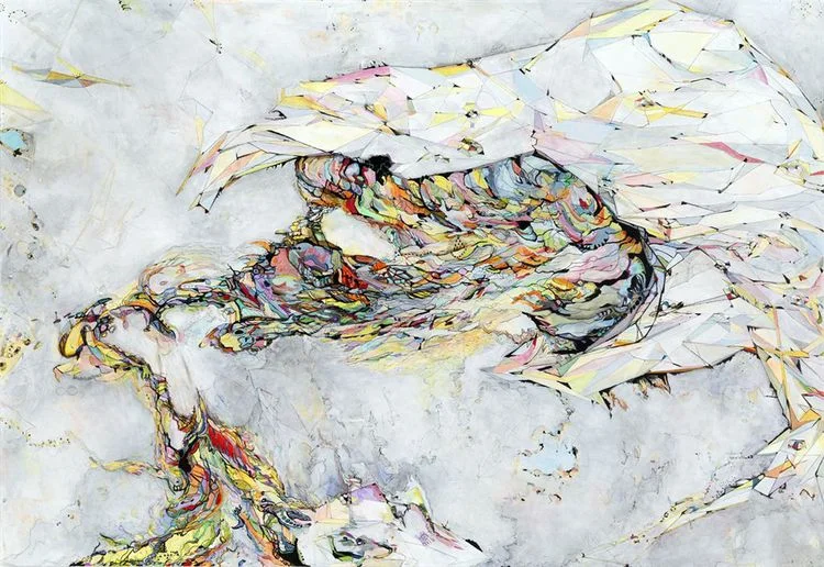 logic #2 / fury Acrylic, ink and colored pencil on canvas / 48"x 70" / 2010