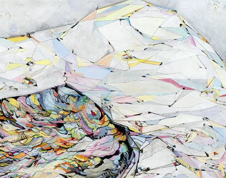logic #2 / fury Detail / Acrylic, ink and colored pencil on canvas / 48"x 70" / 2010