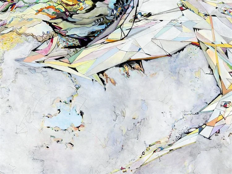 logic #2 / fury Detail / Acrylic, ink and colored pencil on canvas / 48"x 70" / 2010