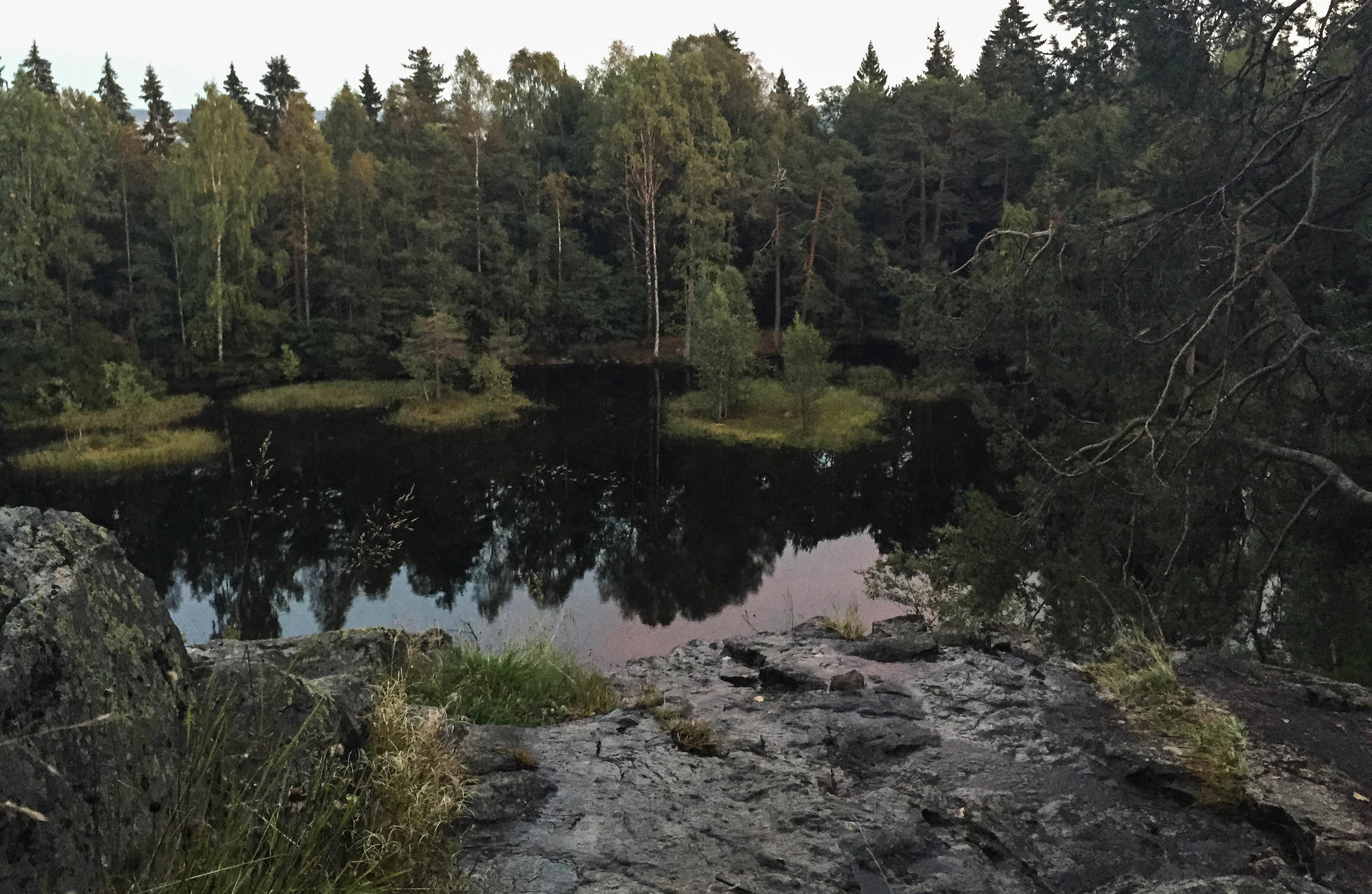 På oppsiden av Bånntjern.