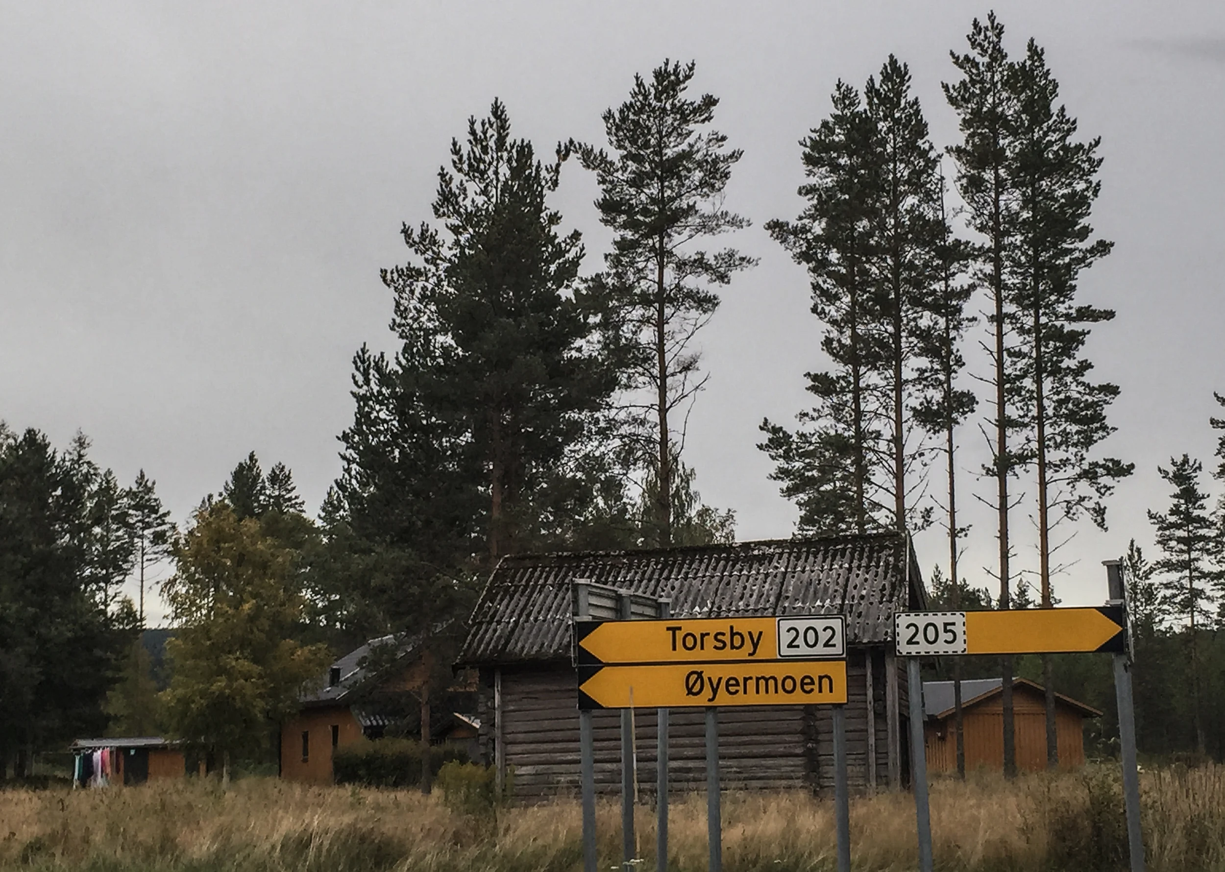 Du trenger ikke reise via Strømstad for å havne i Sverige. Riksvei 202 tar deg også dit. Vær forberedt på øde steder om du forviller deg langs den. 