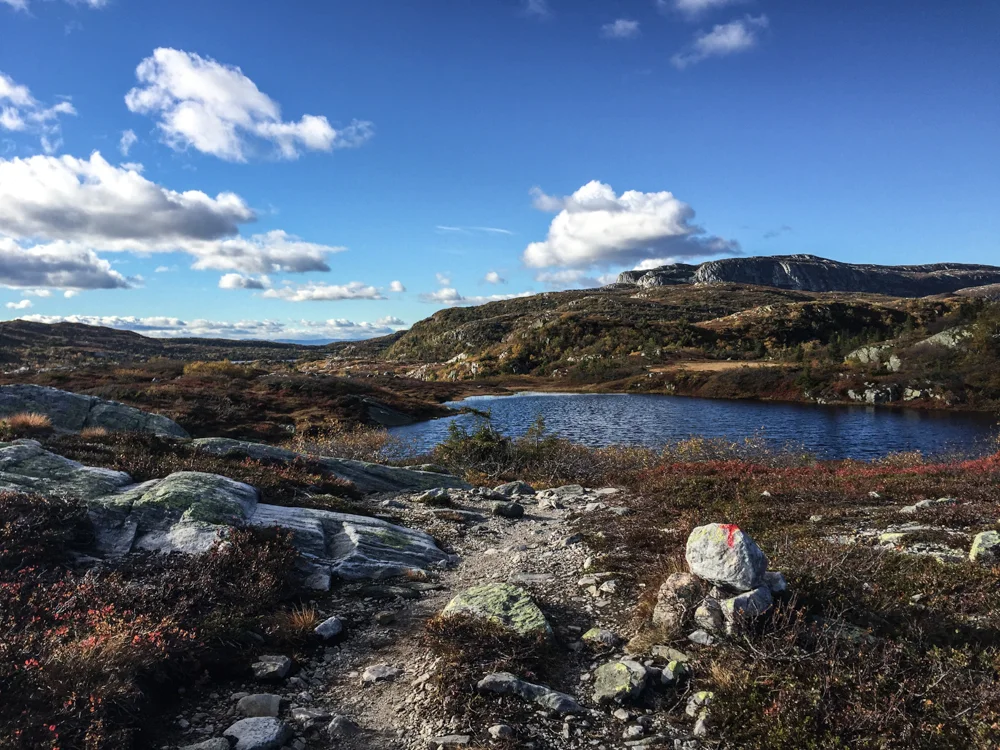 På tilbaketuren blir det sti.