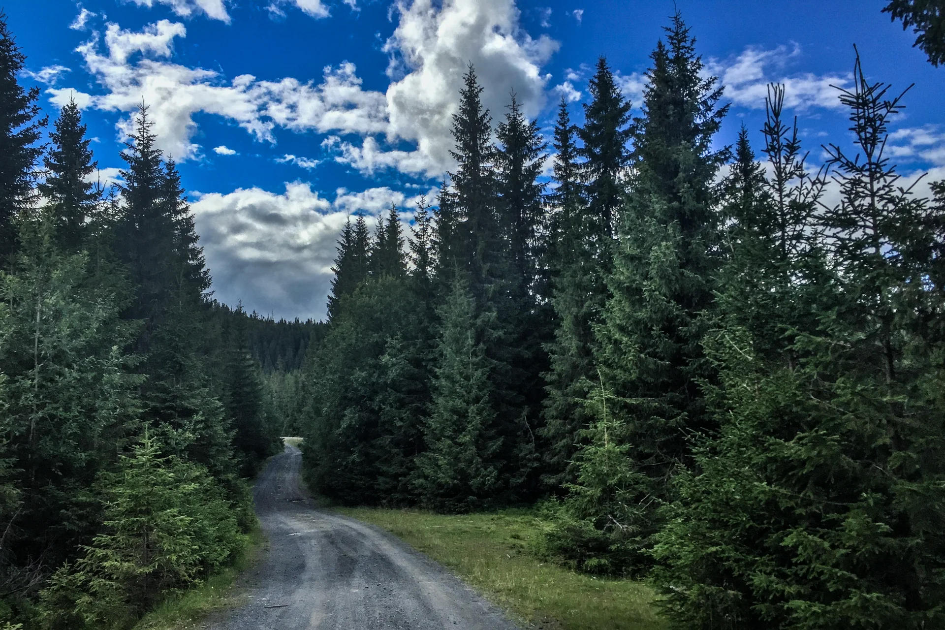 Vel nede forstår jeg at jeg har gjort en brøler med tanke på ruta. Det blir derfor noen ekstra km på grusvei. Slike veier syns jeg ofte er kjedelige å løpe på. Det skjer ikke noe. Da kan tankene fort dreie mot at jeg er sliten. Løsningen blir å sette på musikk.