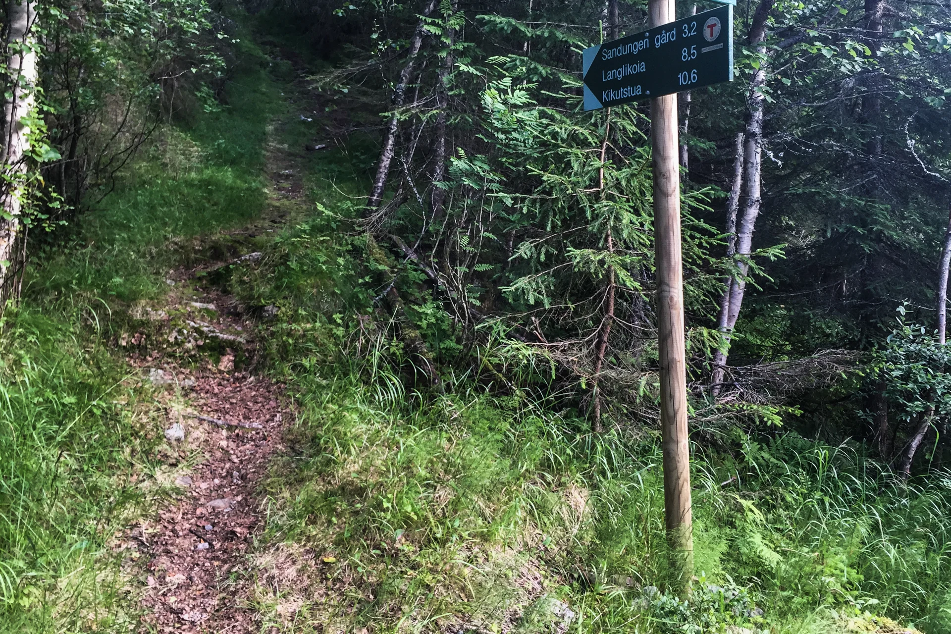 Nei, heldigvis ikke. Etter 500 meter ledes jeg inn på en ny blåsti igjen. 