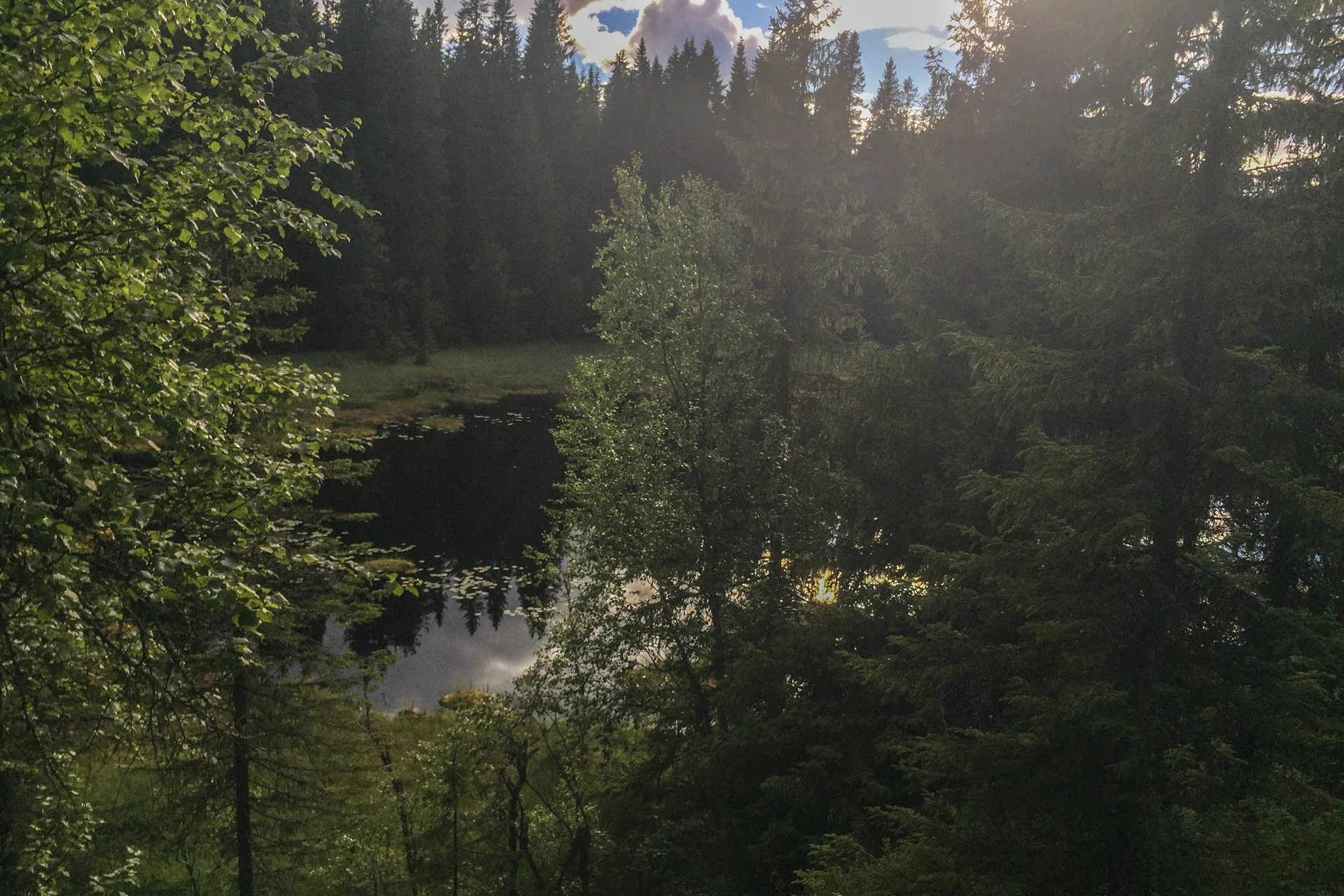 Tror dette er Katnostjernet.