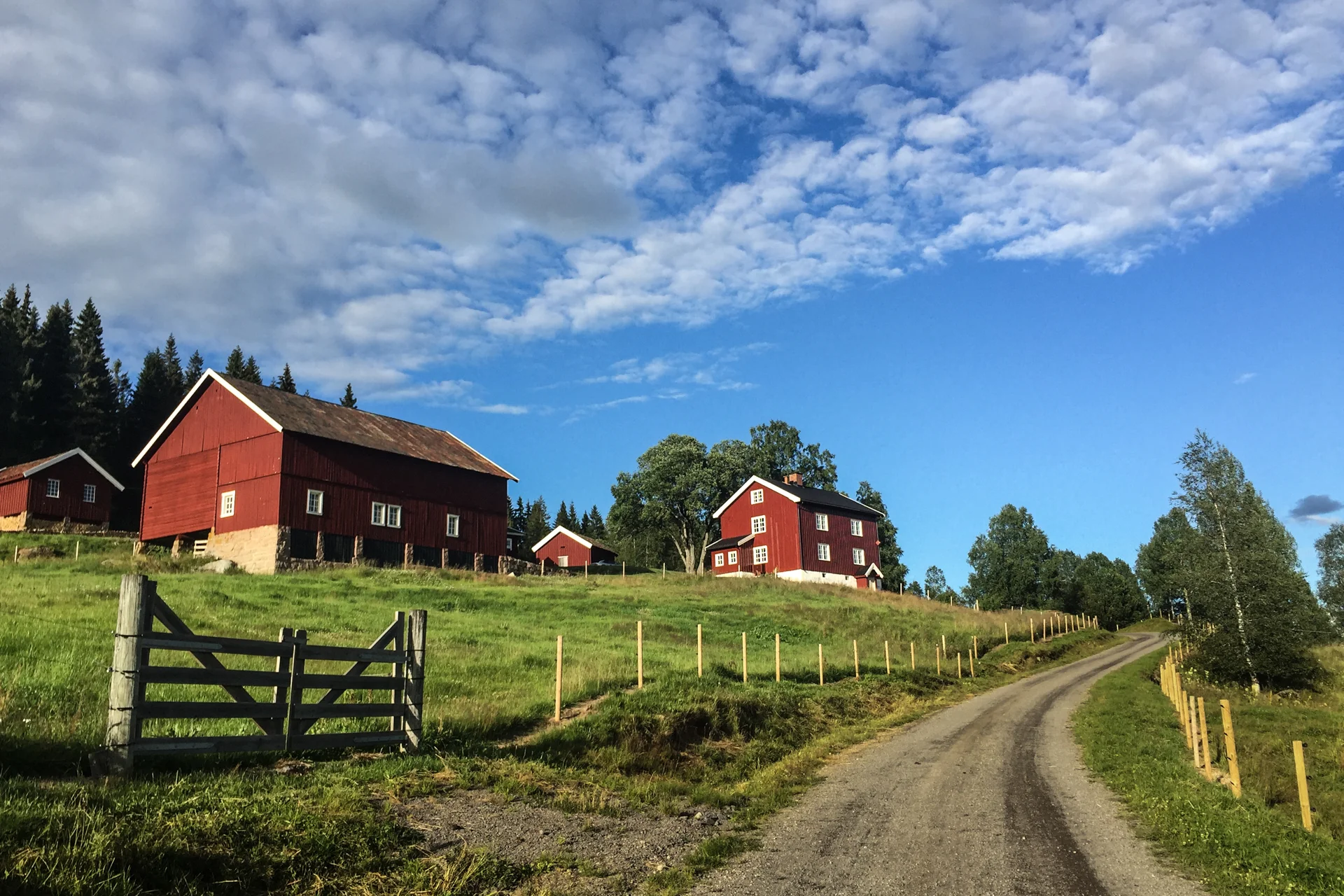 På kjente trakter ved Sandungen. Et nytt delmål er i boks.