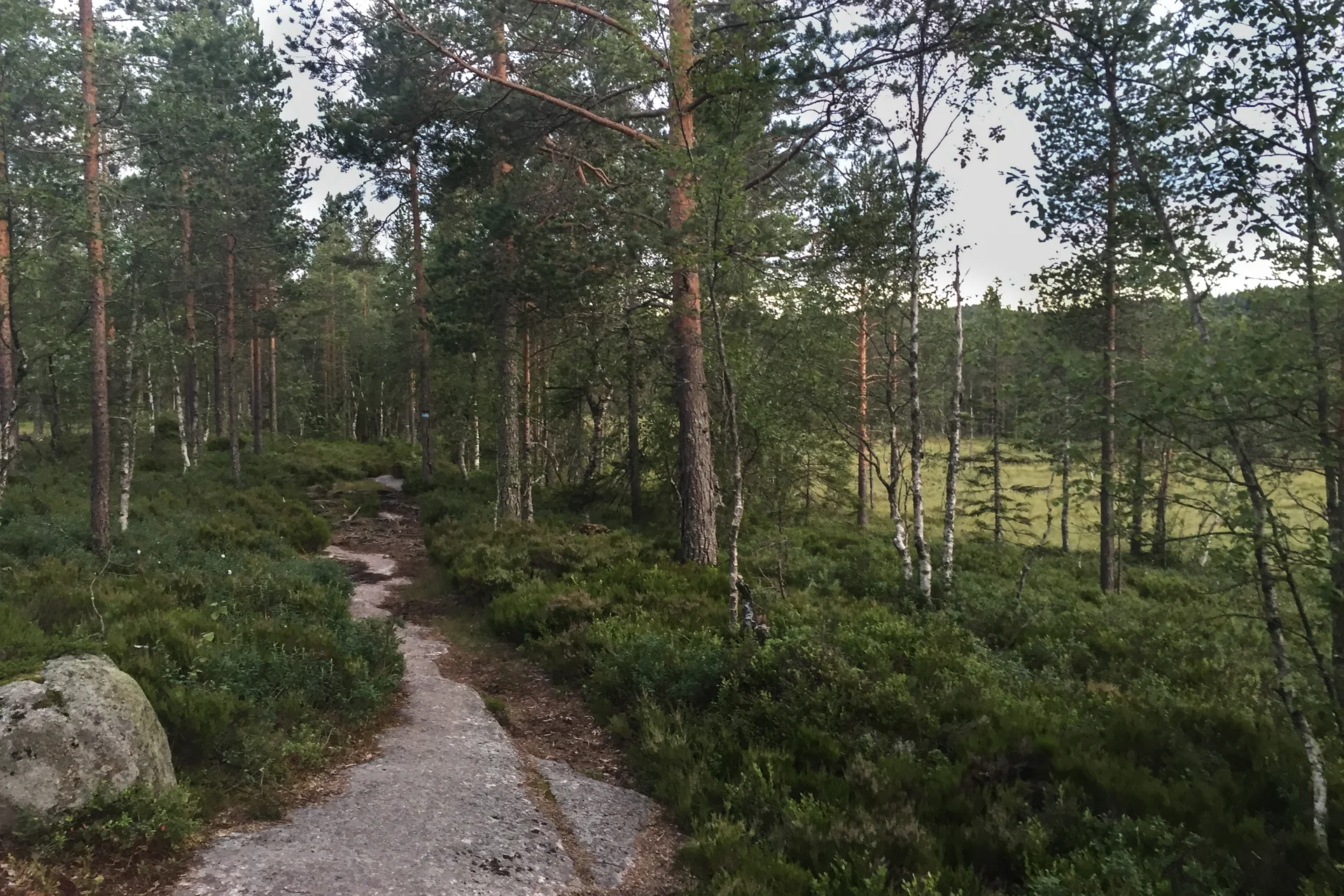 Foran meg er det fortsatt lyst og en super løpesti.