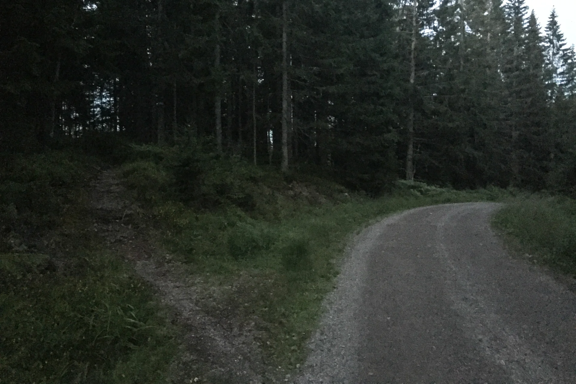 Opp her går det en blåsti til Ullevålsseter. Jeg trodde ikke jeg skulle bli så sen, og har ikke med hodelykt. Fristelsen er for stor. Sti går foran vei. Her har jeg løpt før, og jeg vet at stien kan løpesi mørket uten lys. Slik blir det.