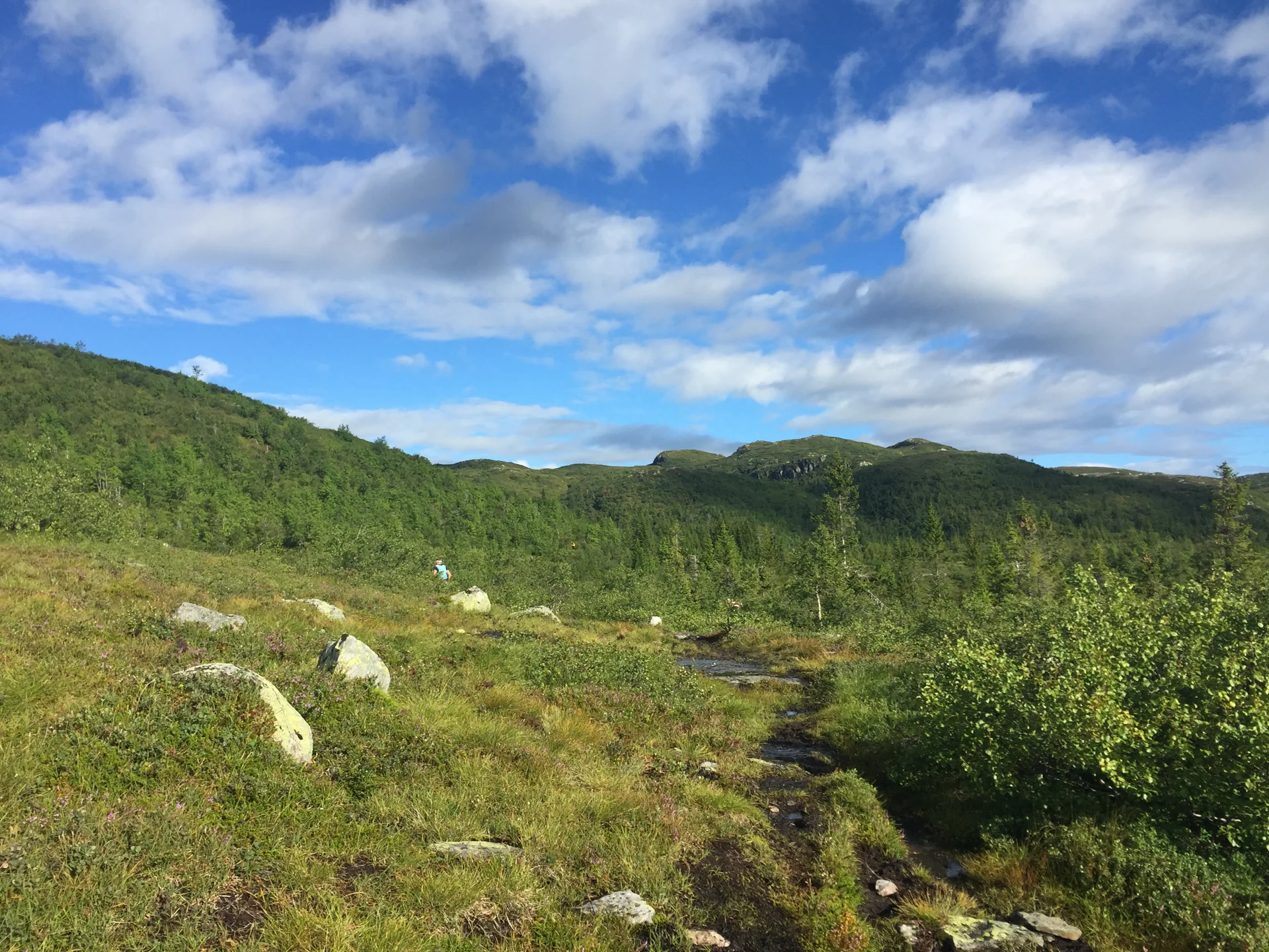 Stiene er fulle av vann. Etter tre km får vi en stigning på 400 høydemeter over seks kilometer.