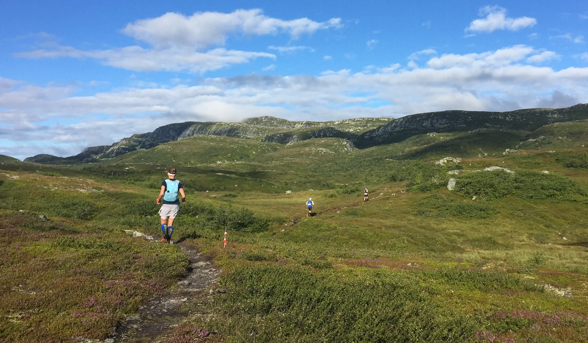 Da vi er 1000 meter over havet åpenbarer det seg et fantastisk landskap å løpe i. Her er det mye tørrere og det flater ut.