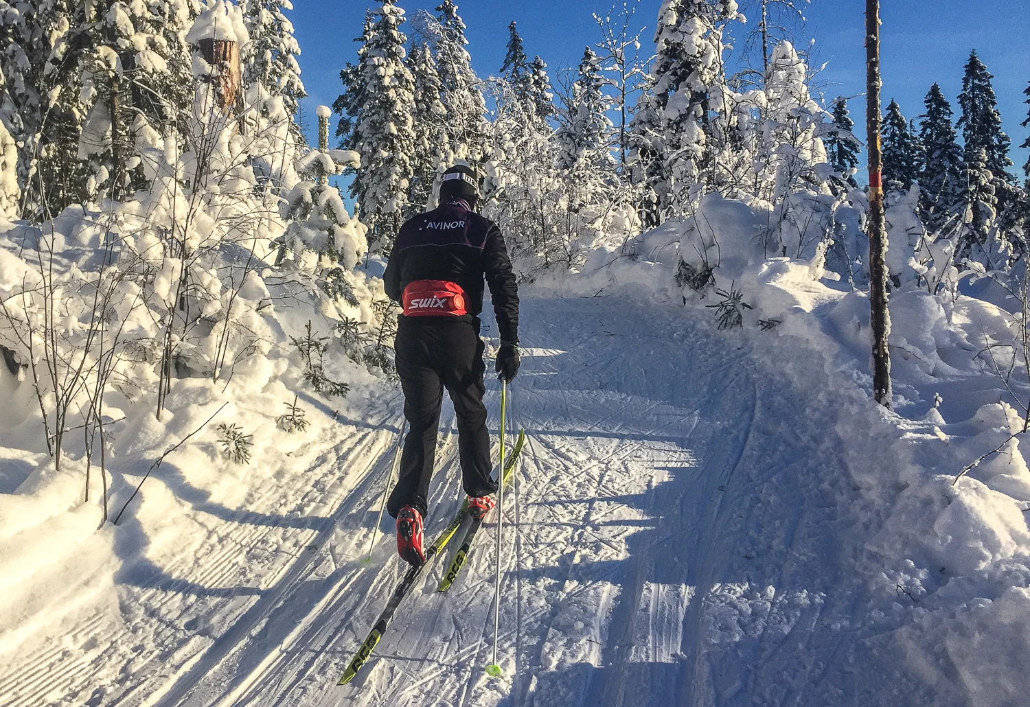 I midten av januar 2016 er det knallføre i Lillomarka. Petter holder god fart.
