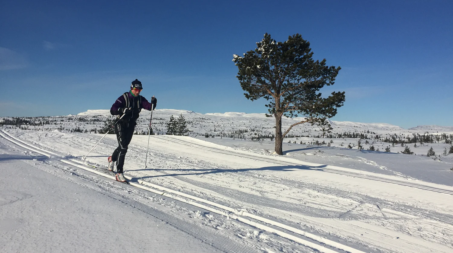 Det blir ikke bedre enn løypene fra Buen i Blefjell på en dag som dette. Her, nesten over skoggrensen, er det utsikt over alt. Det gjør godt for en som bor i byen.