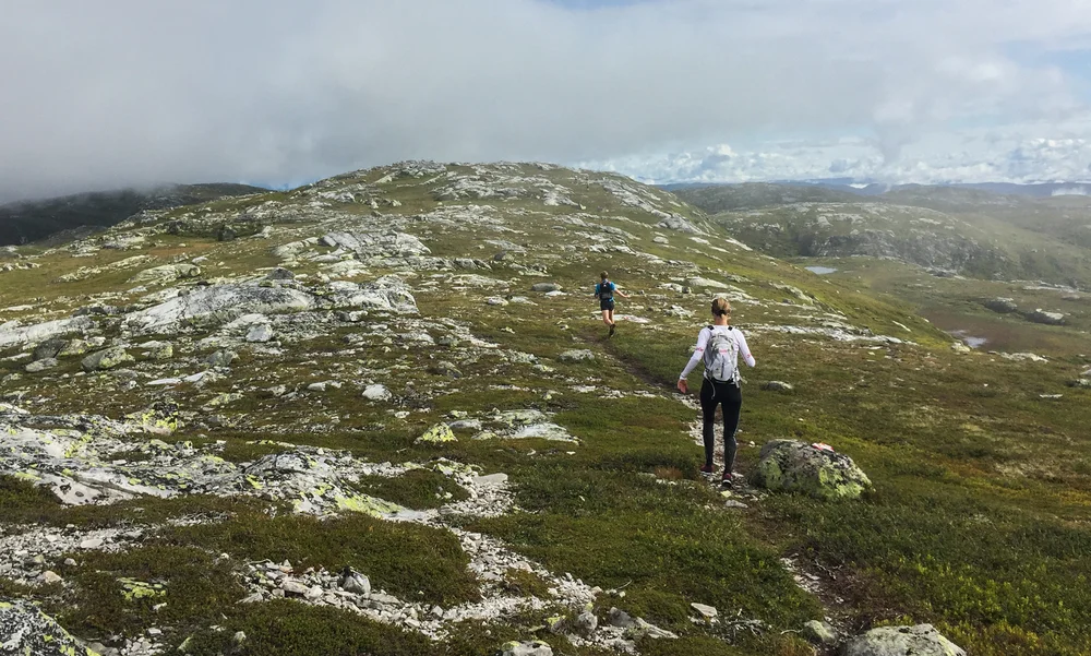 Arrangørene har lagt løypa i suverent løpeterreng. Foto: Bjørnar Eidsmo.