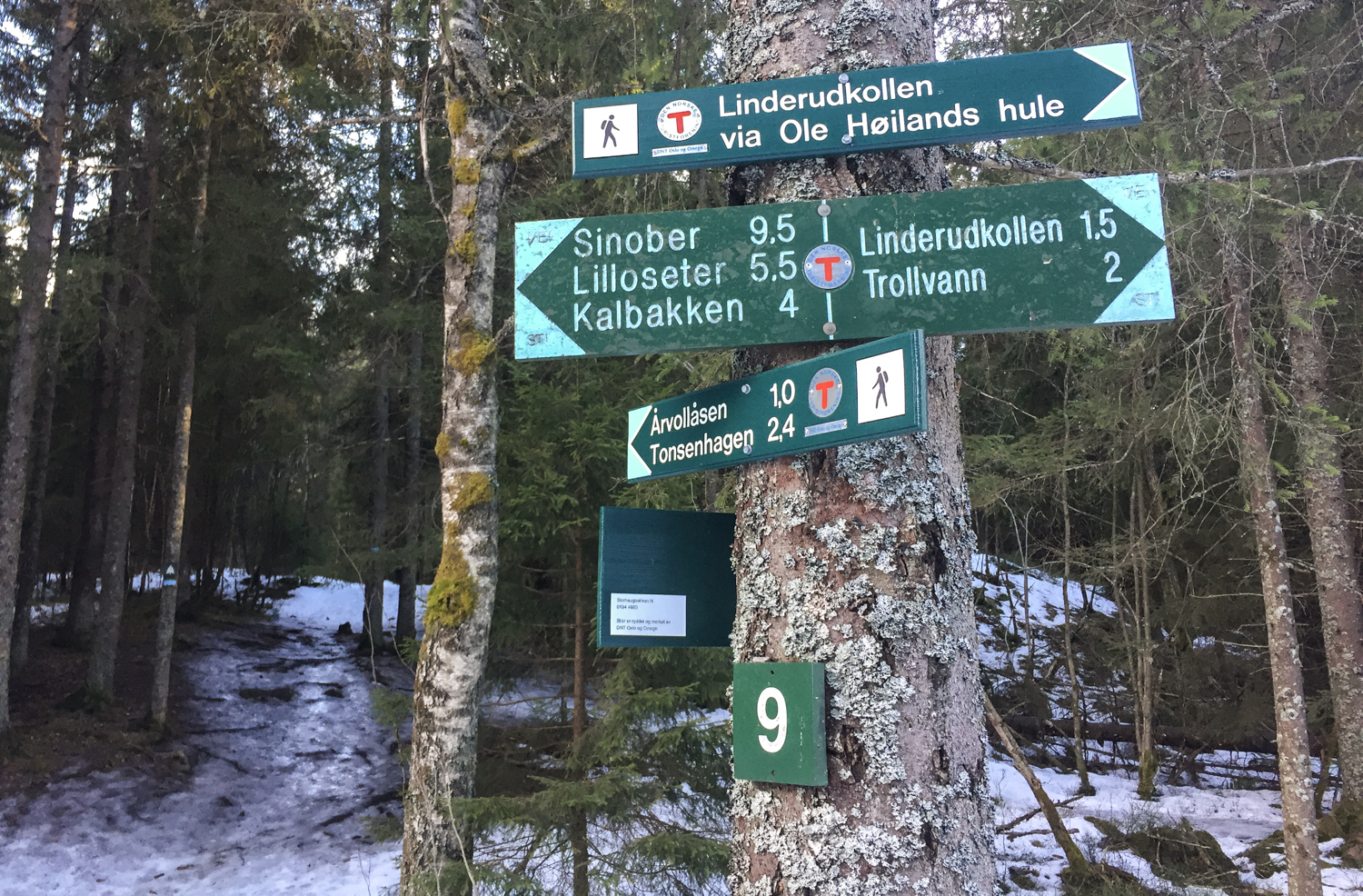 Et stikryss med mange morsomme muligheter.