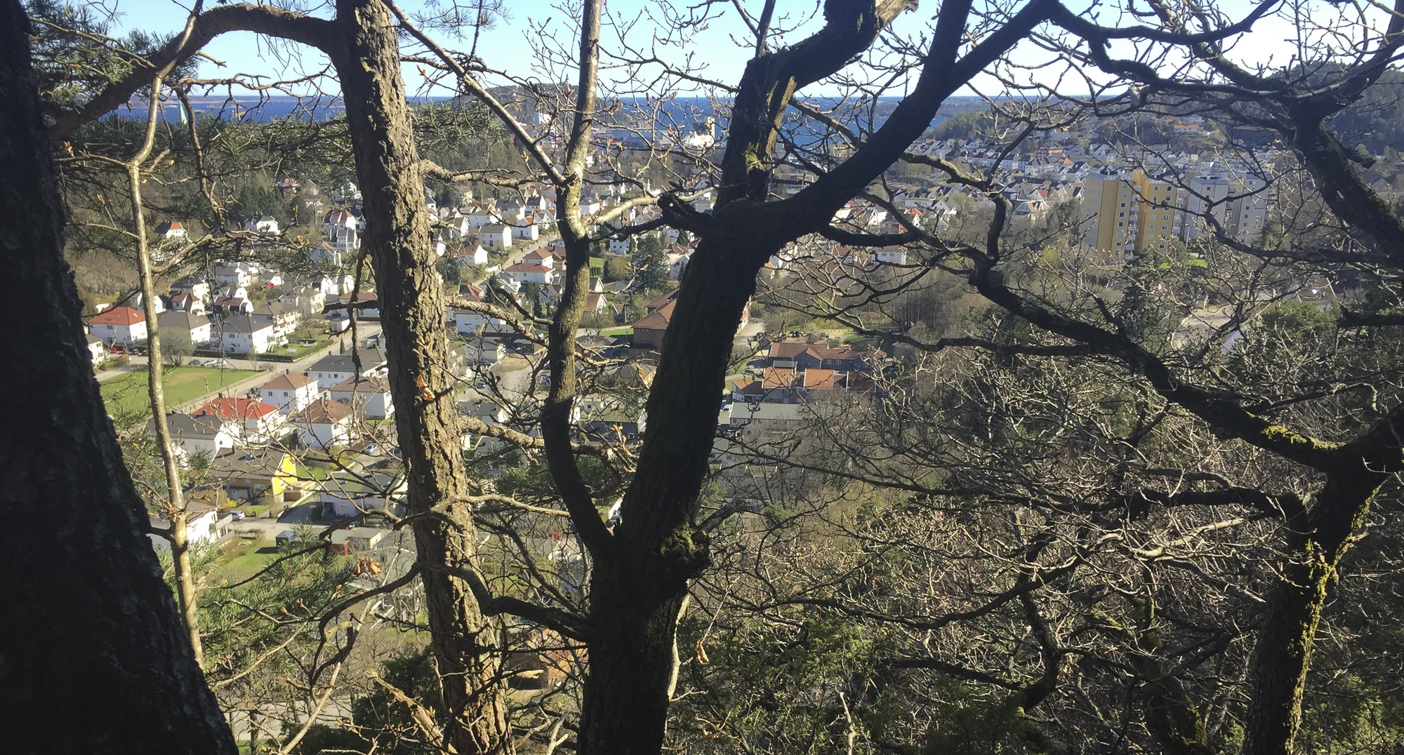 Langt dere fremme er sjøen og mål. Men først går ruta tilbake i bymarka.