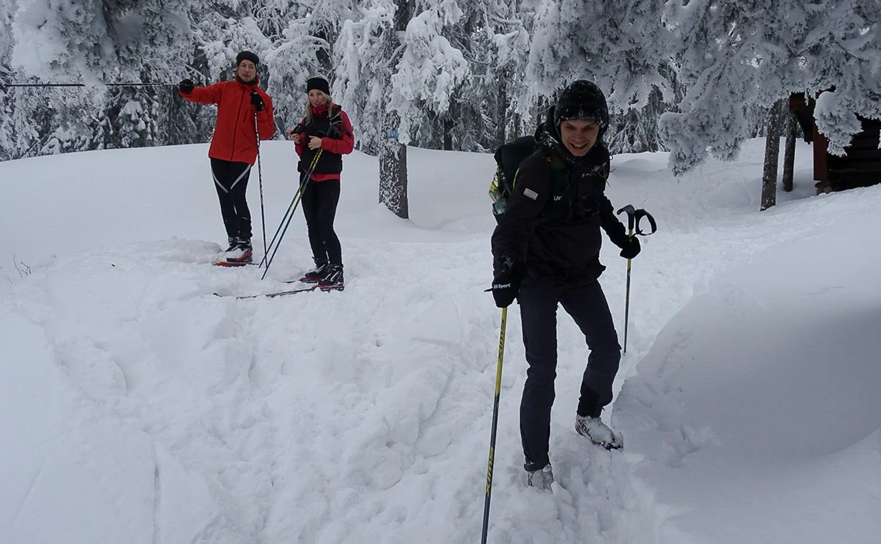 De to i bakgrunnen er fra Troms og var i området for første gang. Da de holdt på å gå rett forbi løypa bort til Kongens utsikt stoppet jeg dem. De lot seg overtale til å ta en tur hit. Johannes til høyre har her nettopp gitt dem et fotooppdrag. Foto: Bjørnar Eidsmo.