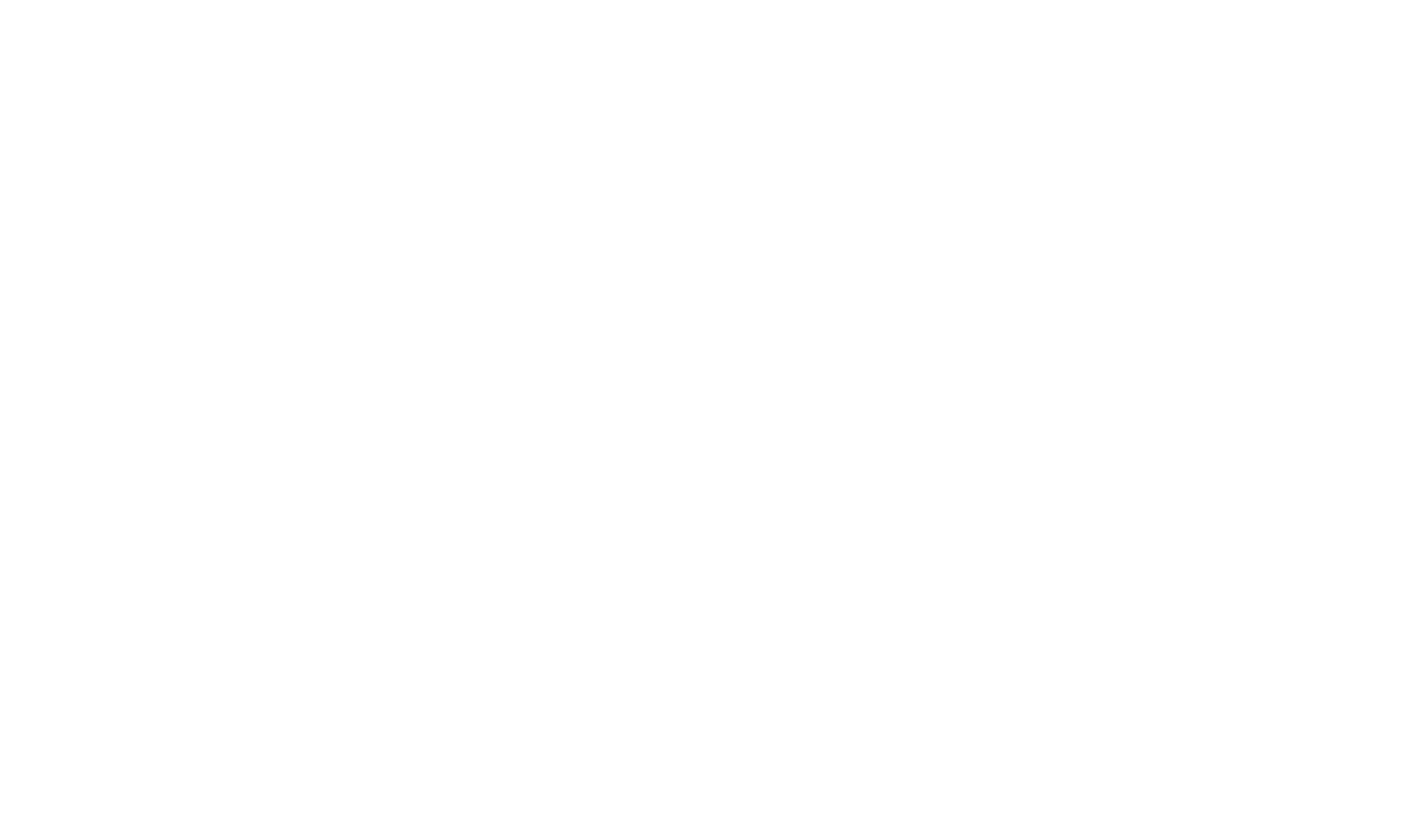 SWLOGOBOLDWHITE.png