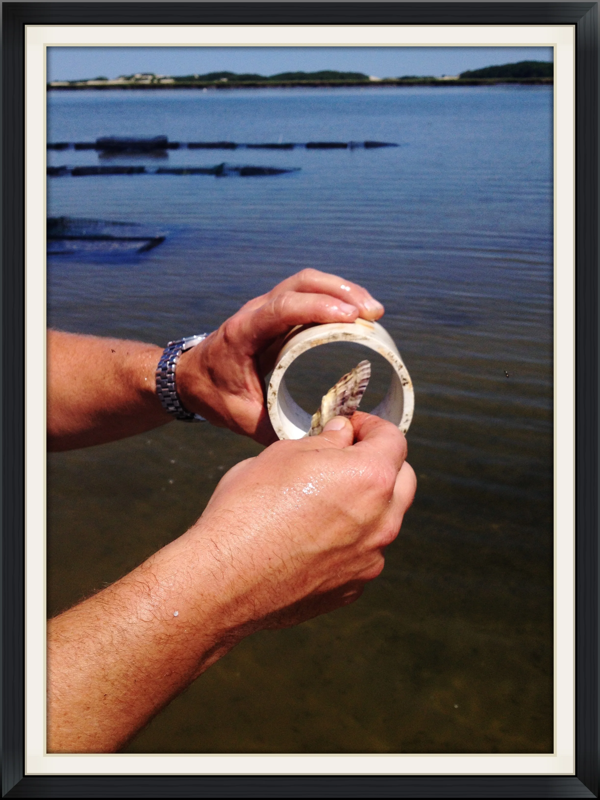 Jennifer & Scott Mullin- Scorton Creek Oysters in Barnstable