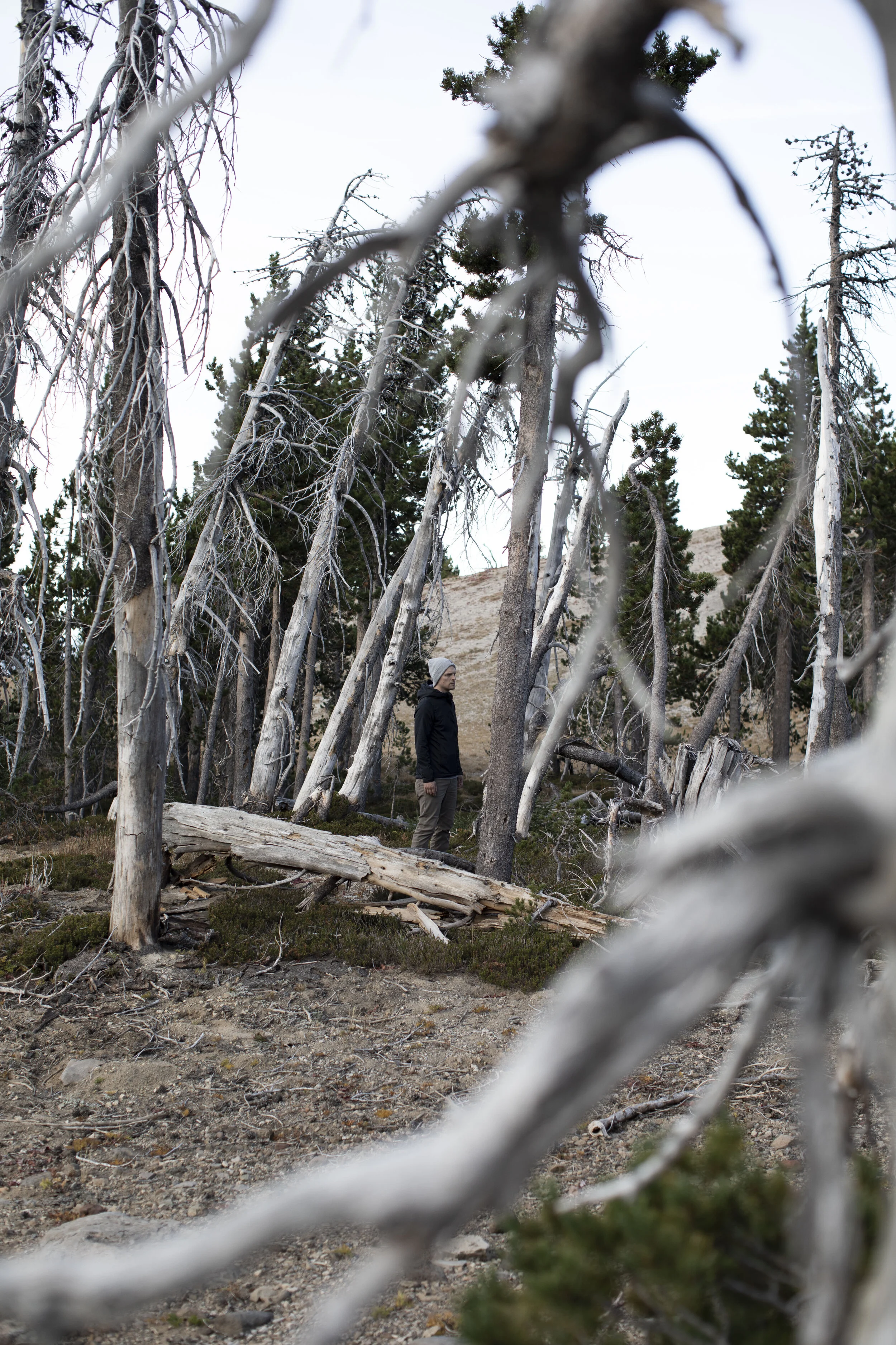 ► Fighting the World