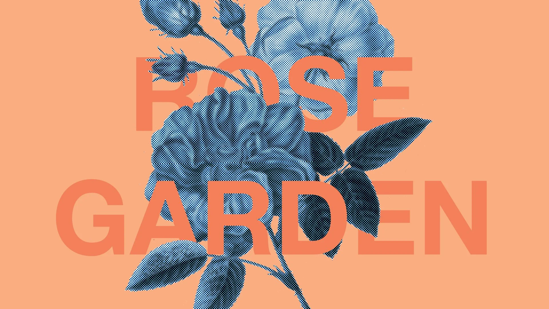 th_web_rose2.jpg