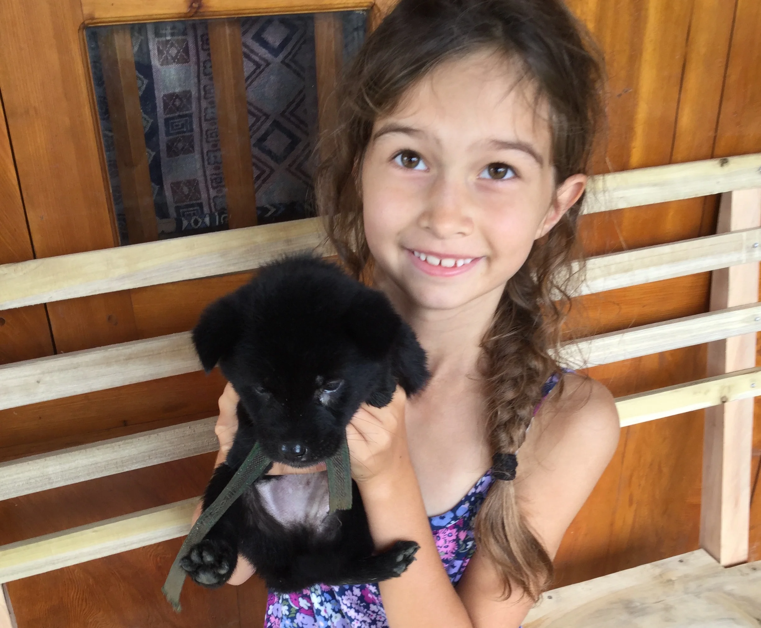 This puppy was Lili's absolute favourite. It lived next door and escaped out frequently to be cuddled by us.