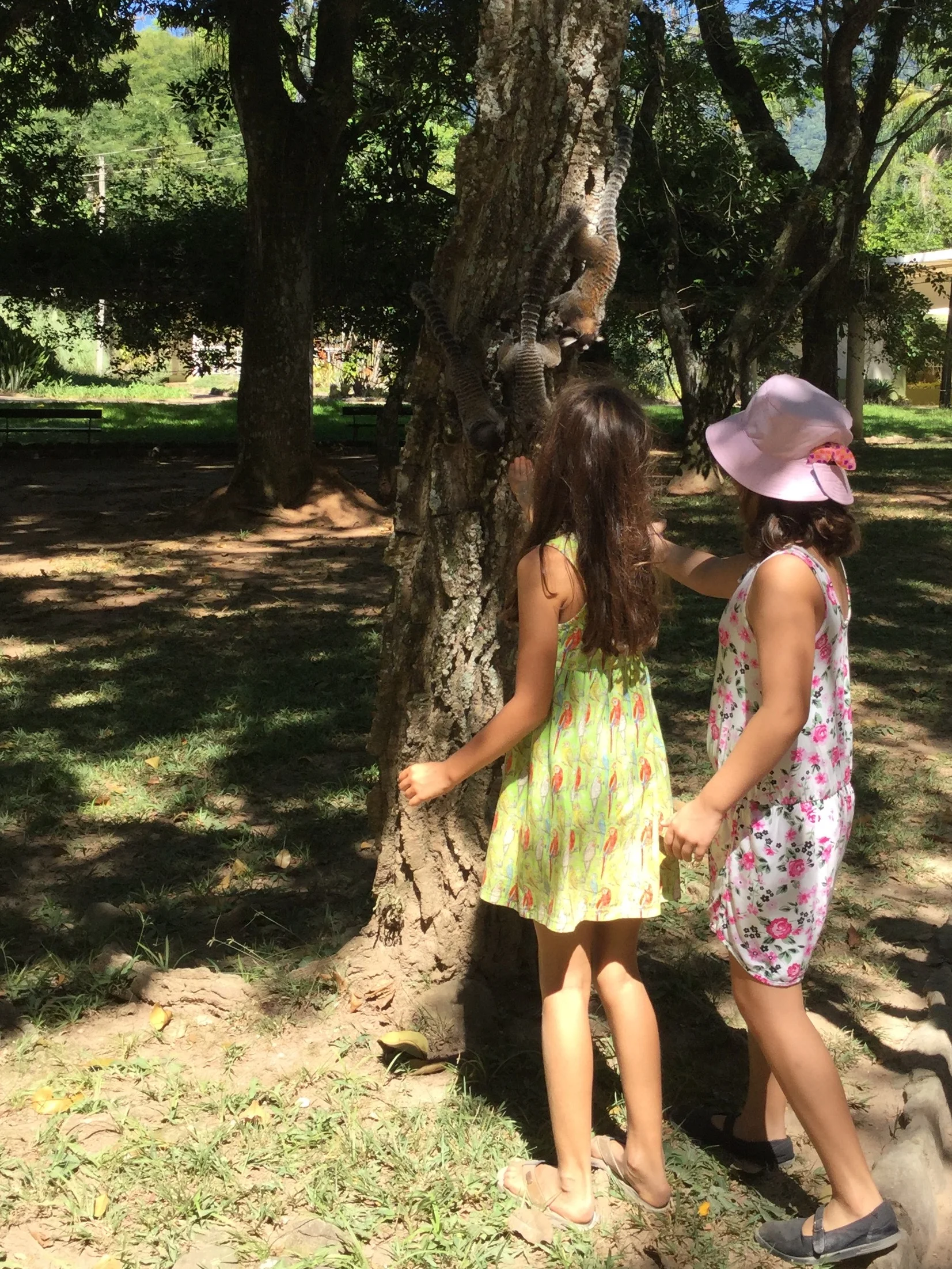 This picture gives a good idea of the size of the monkeys, and also how close we got. They are quite unafraid of people and the photos I took are all without zoom. Lili on the left and our guide Luis' daughter Julia on the right. 