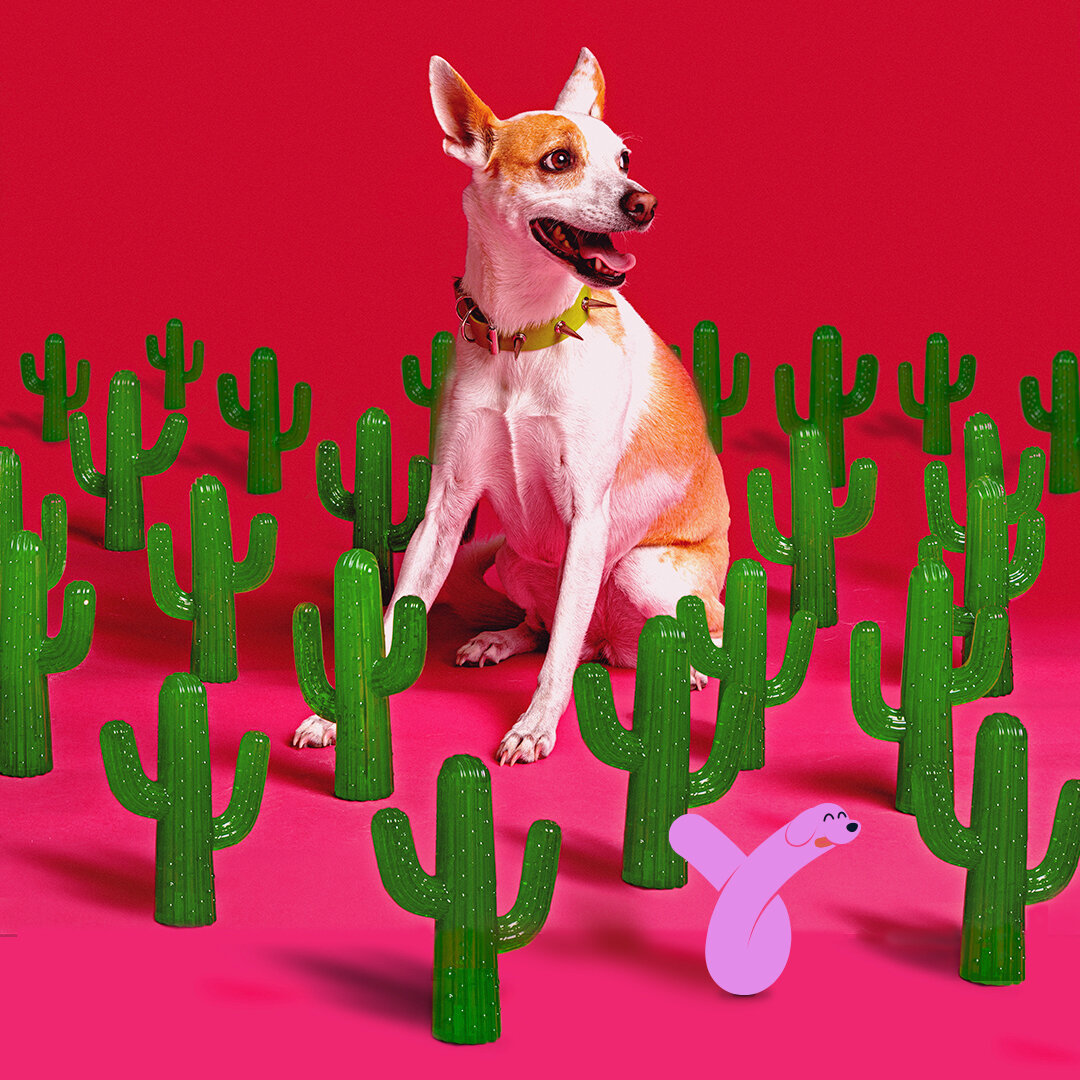 ToyCollection_Cactus.jpg