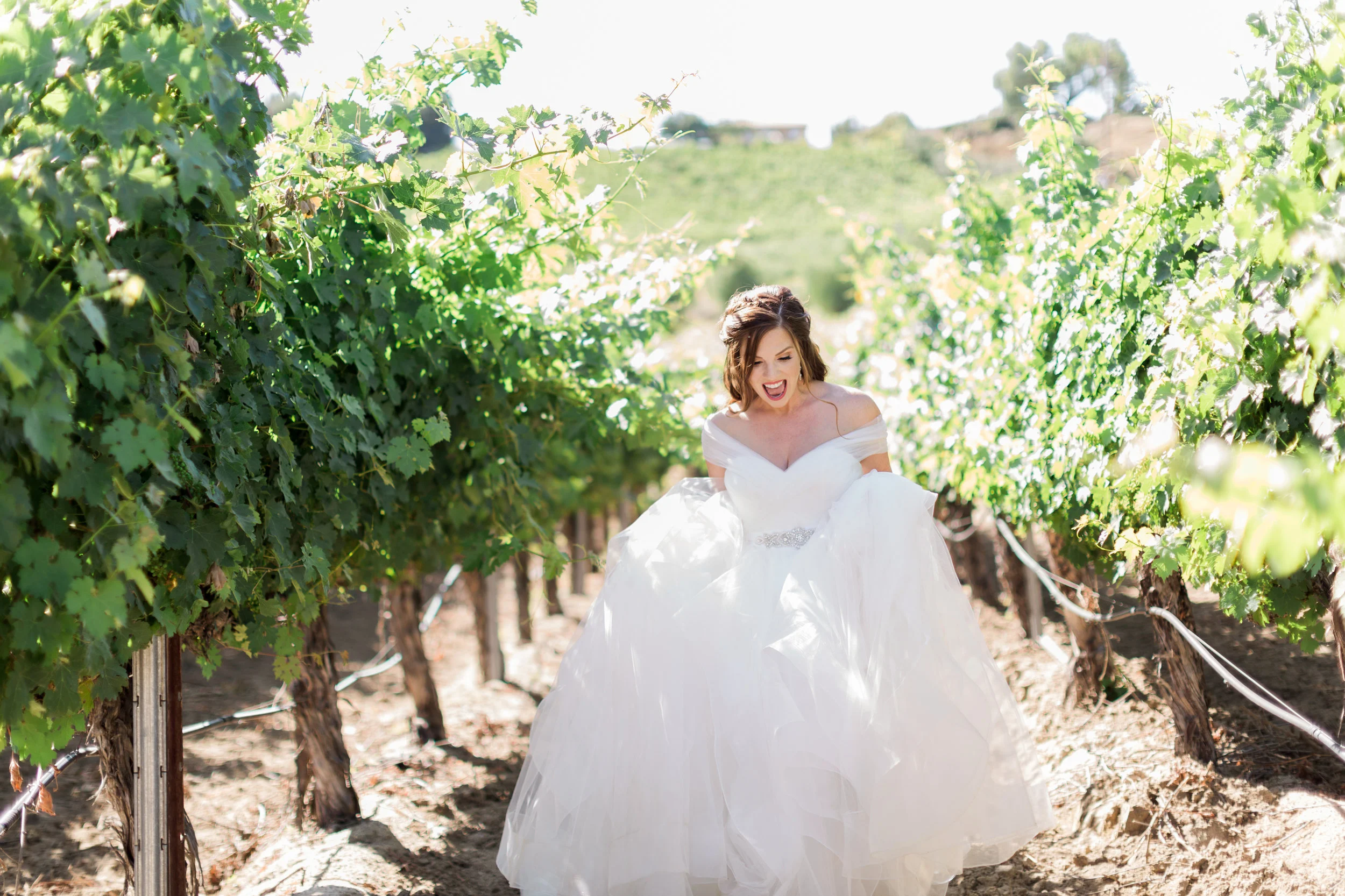 Leoness Cellars Winery Wedding Photographer Leah Vis (2).jpg