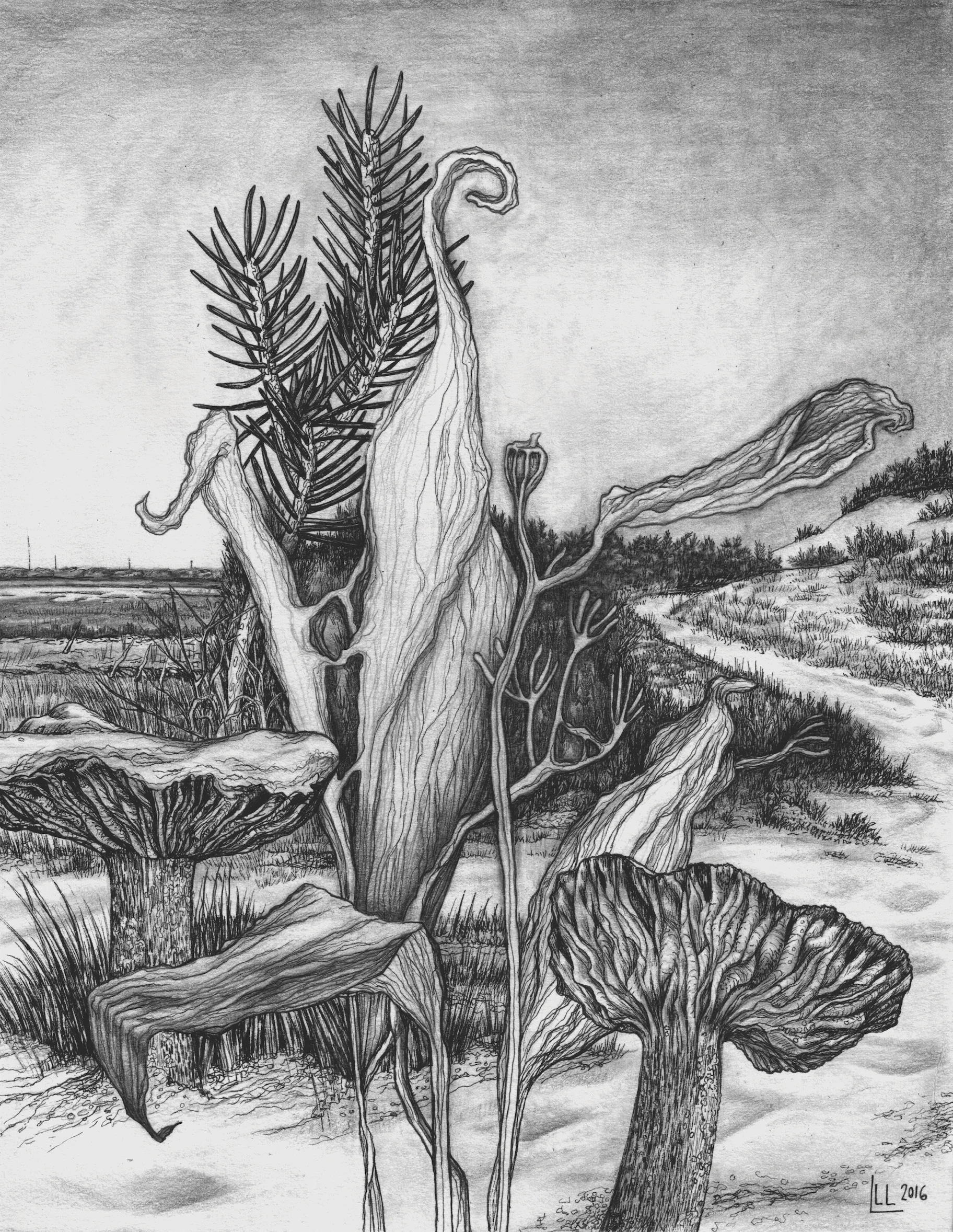 LeonieLittle-Lex_TrailonSandyNeck .jpeg