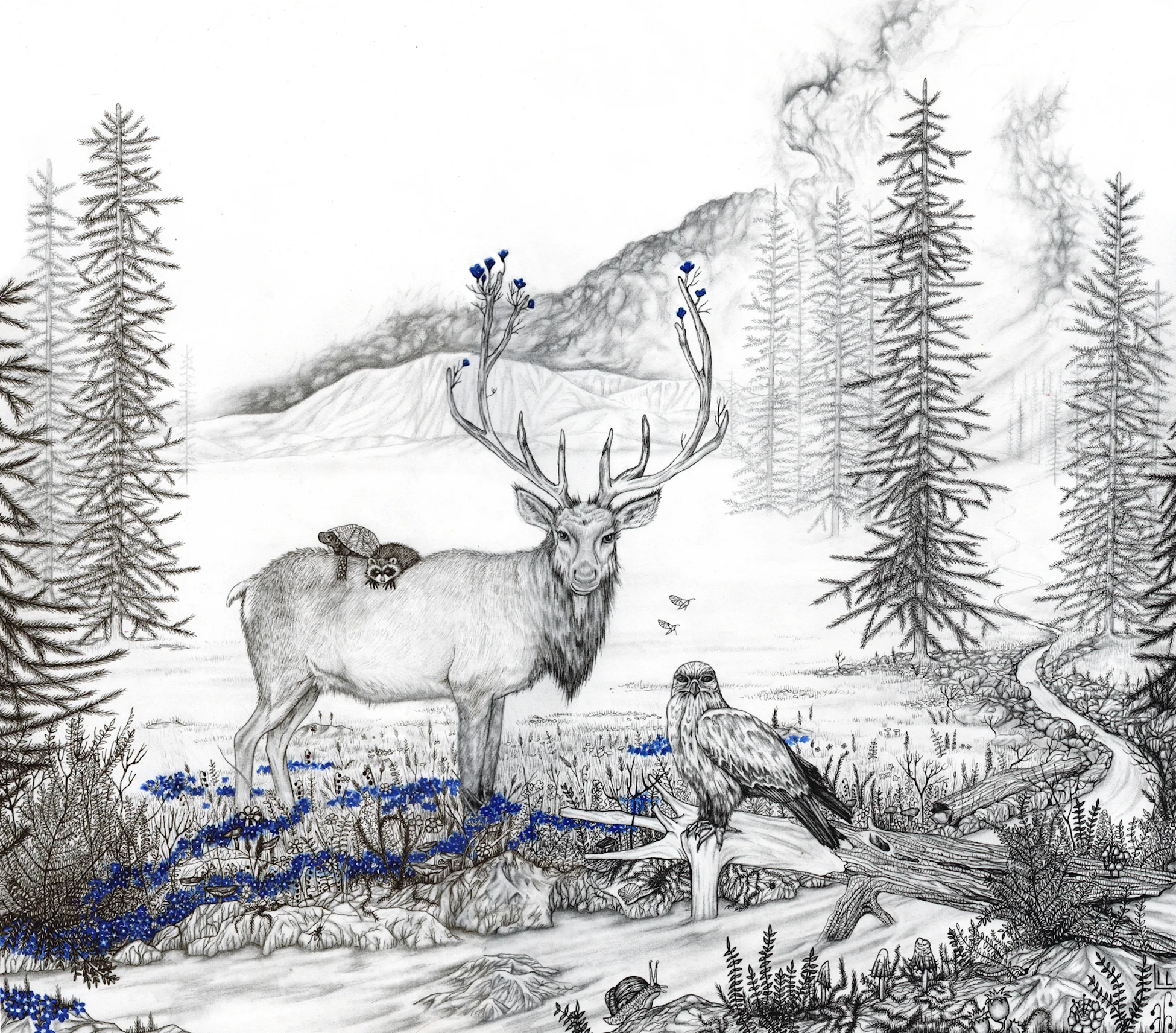 Little-Lex_Terra Animalia No.4.JPG