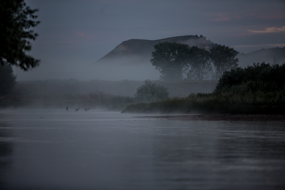 Mists of the Powder River, Broadus, MT