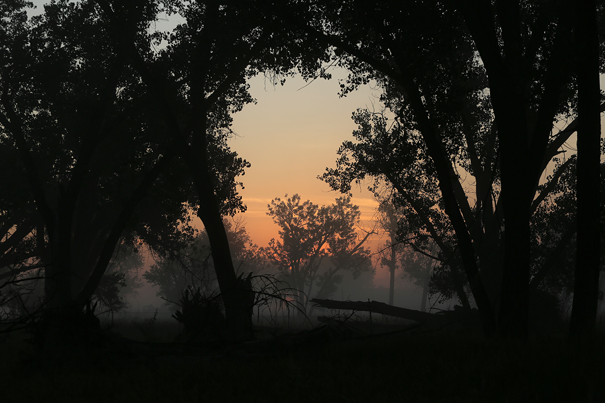 Smoky sunrise Broadus, MT