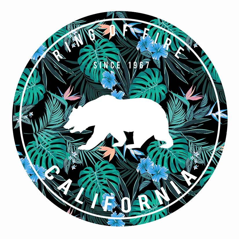 tropical+bear+website.jpg